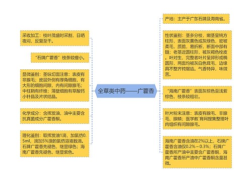 全草类中药——广藿香