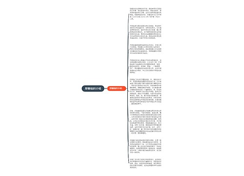 厚壁组织介绍思维导图