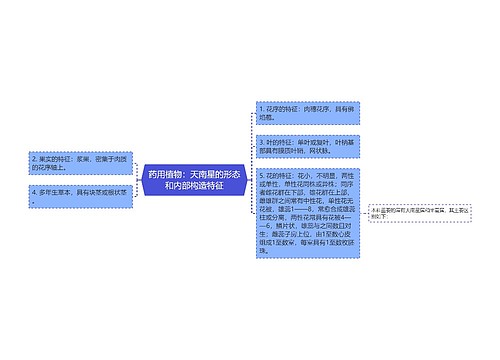 药用植物：天南星的形态和内部构造特征