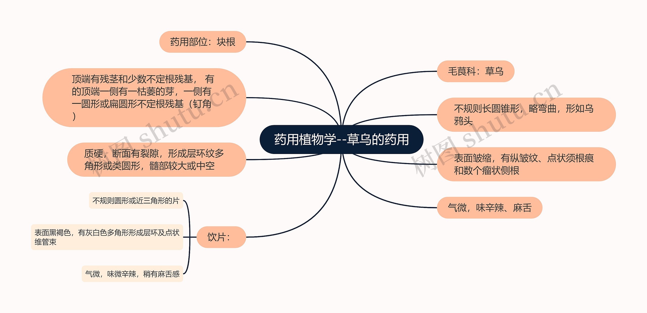 药用植物学--草乌的药用思维导图