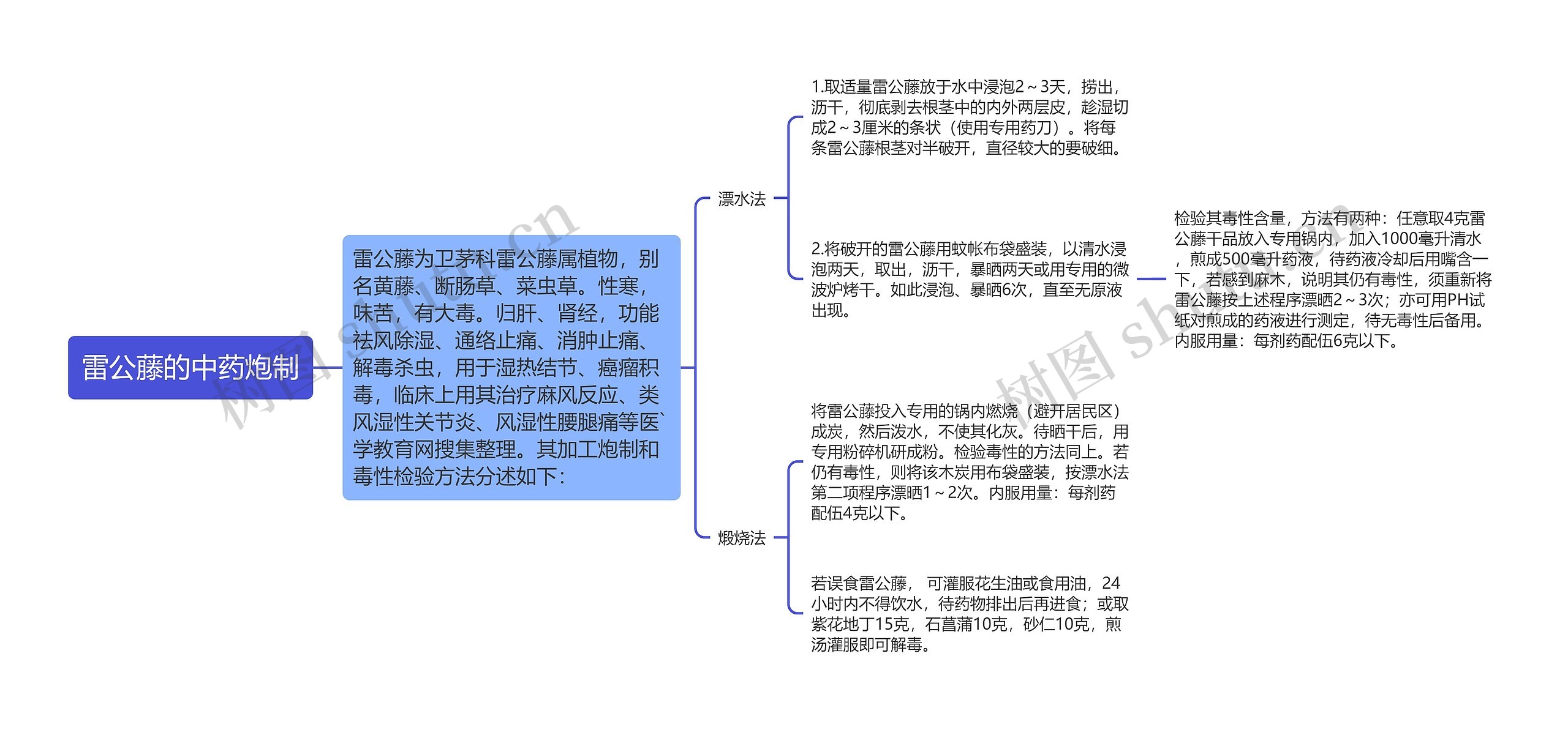 雷公藤的中药炮制思维导图