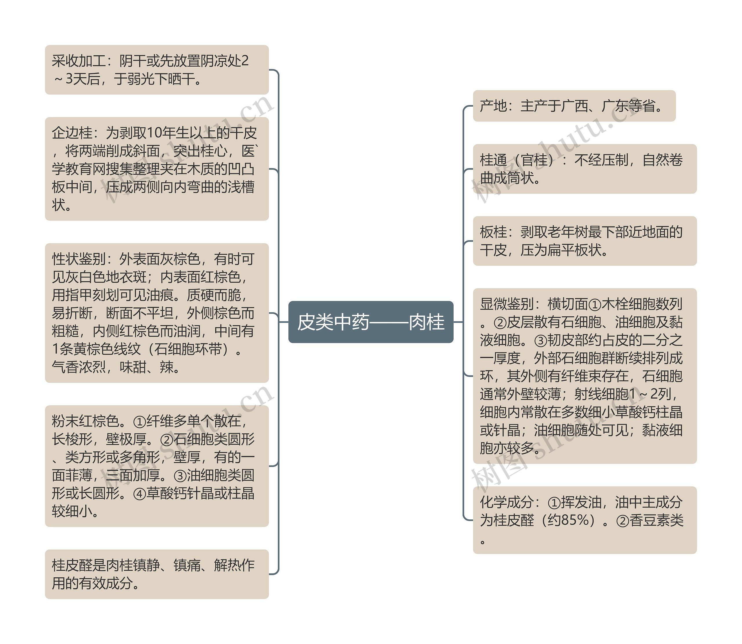 皮类中药——肉桂思维导图