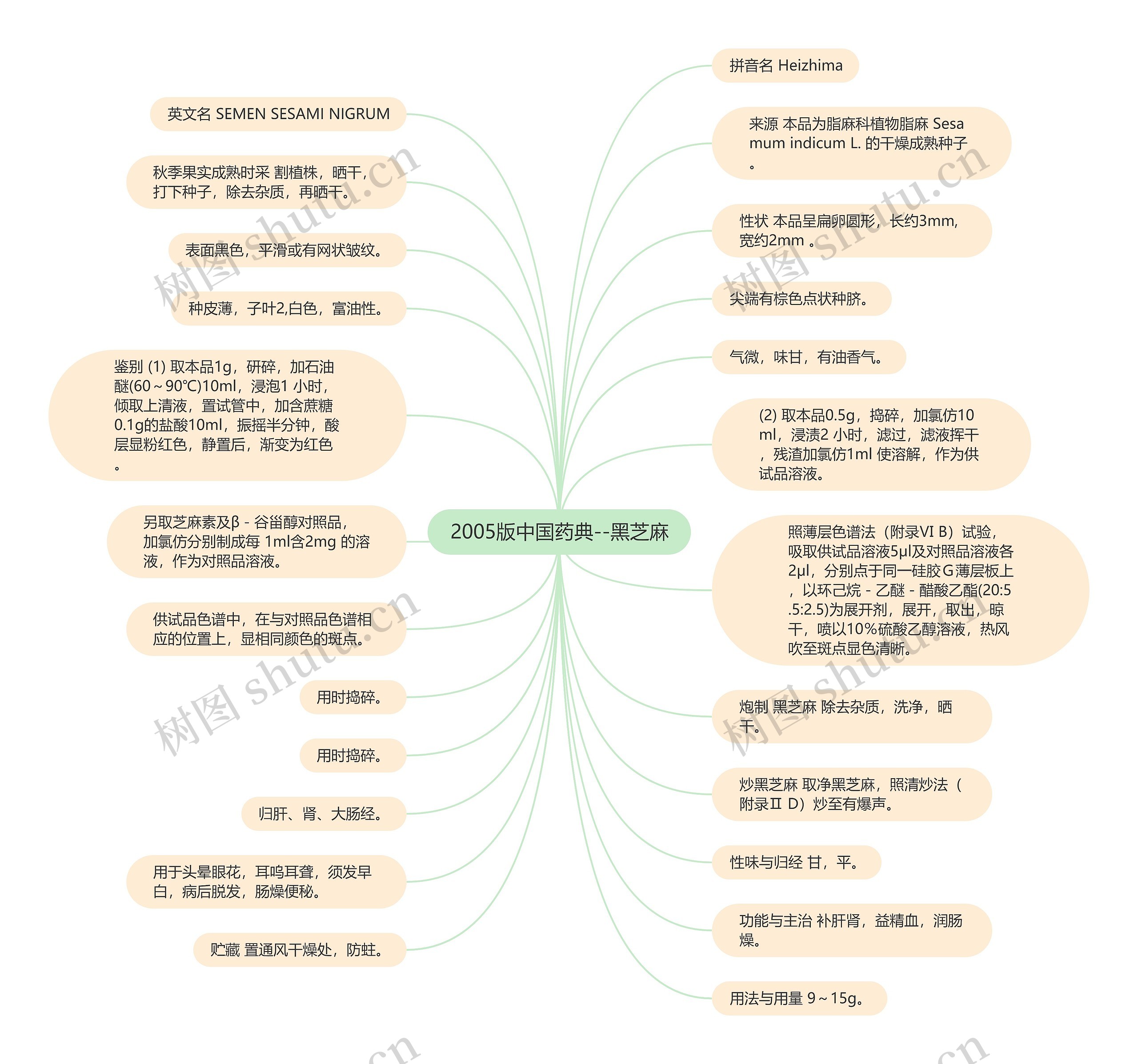 2005版中国药典--黑芝麻思维导图