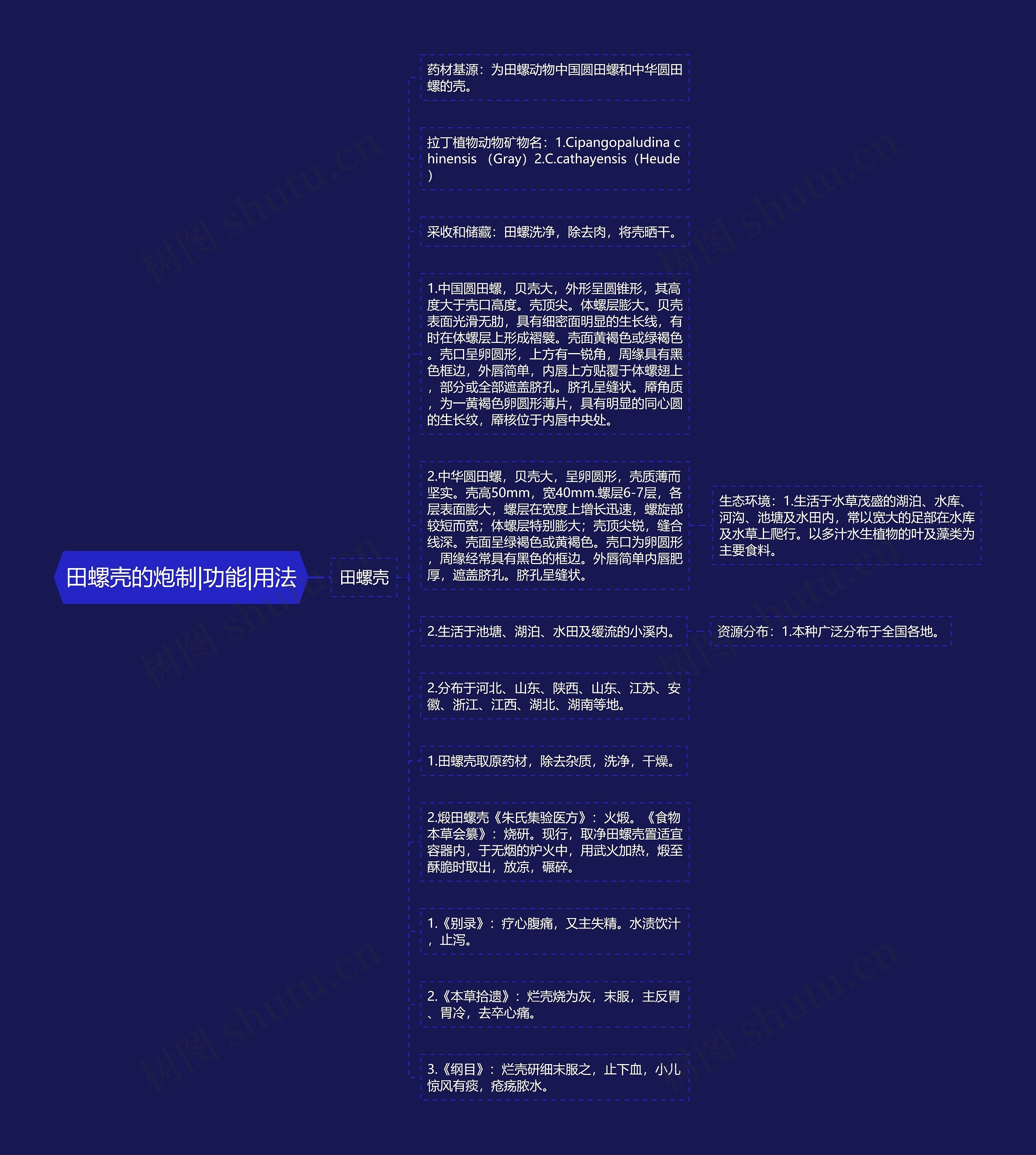 田螺壳的炮制|功能|用法 田螺壳的炮制|功能|用法