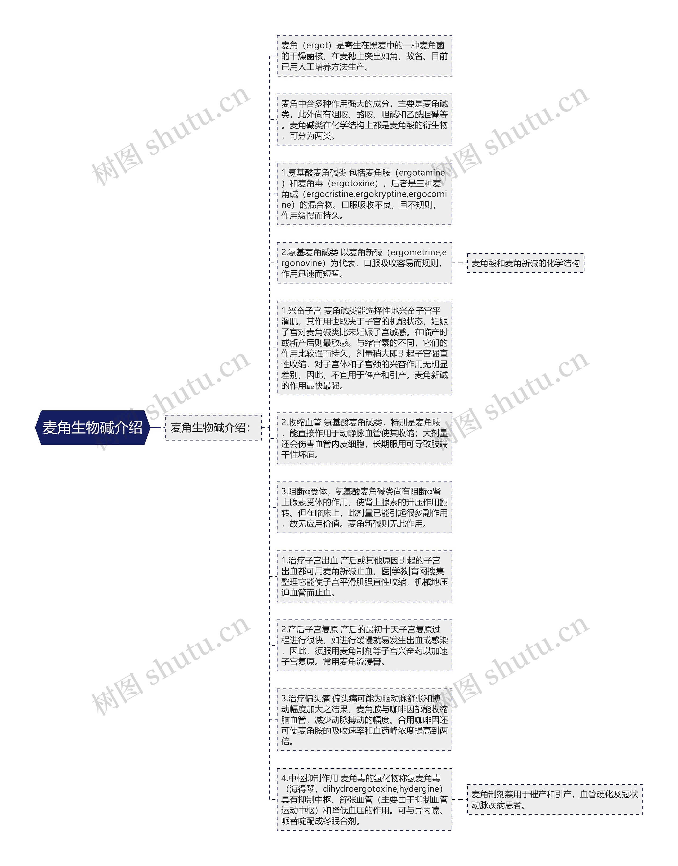 麦角生物碱介绍思维导图