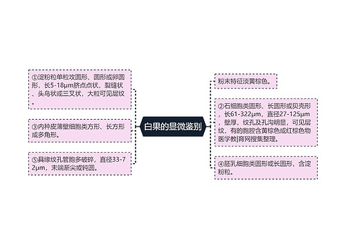 白果的显微鉴别