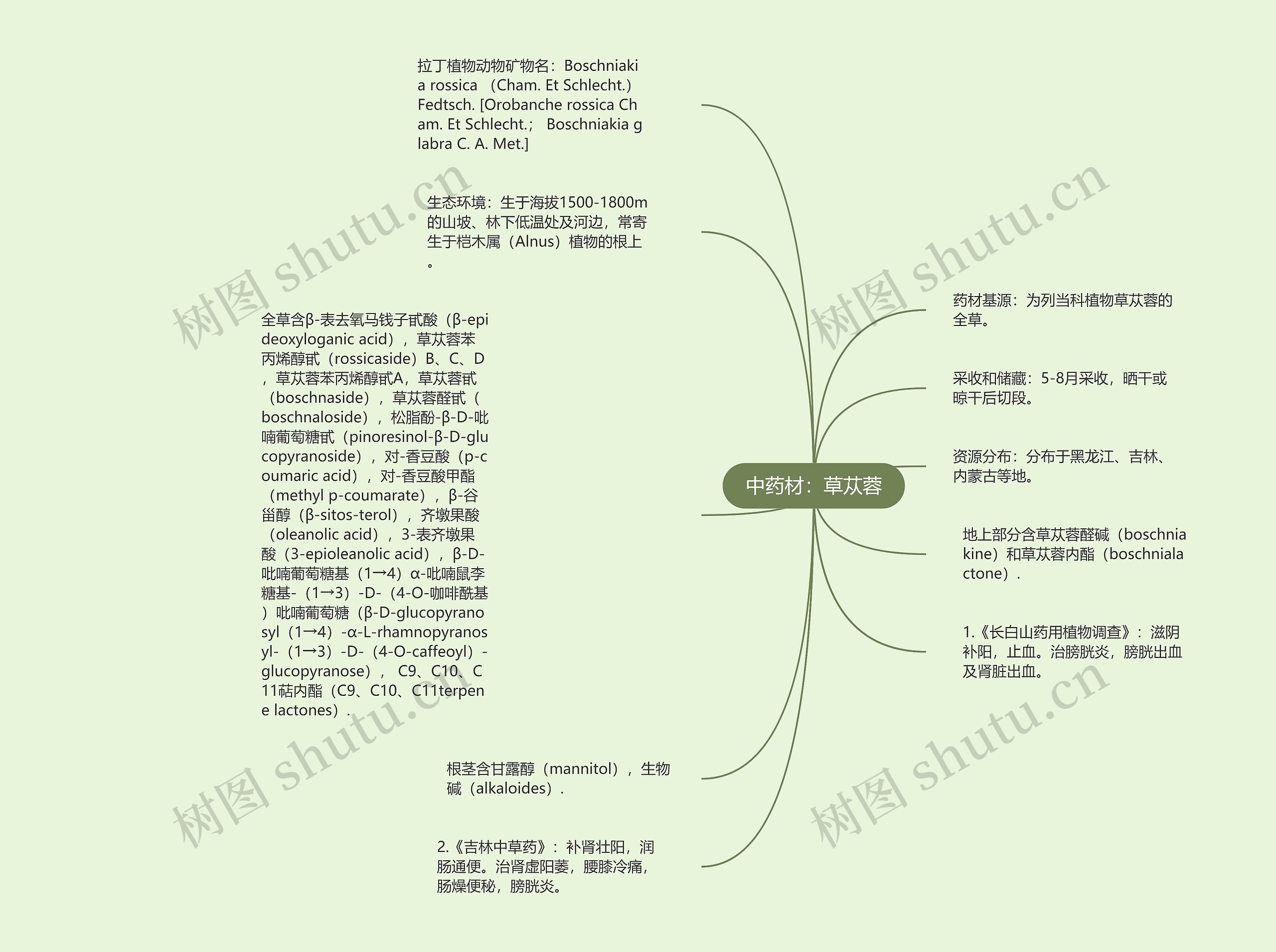 中药材：草苁蓉思维导图