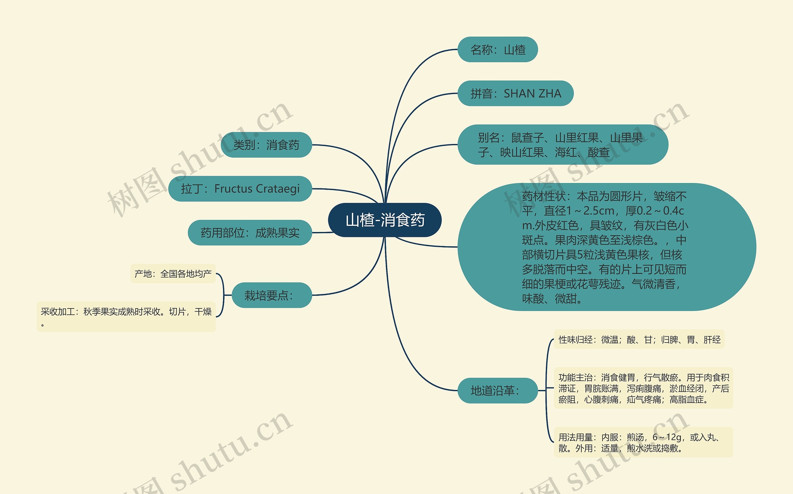 山楂-消食药思维导图