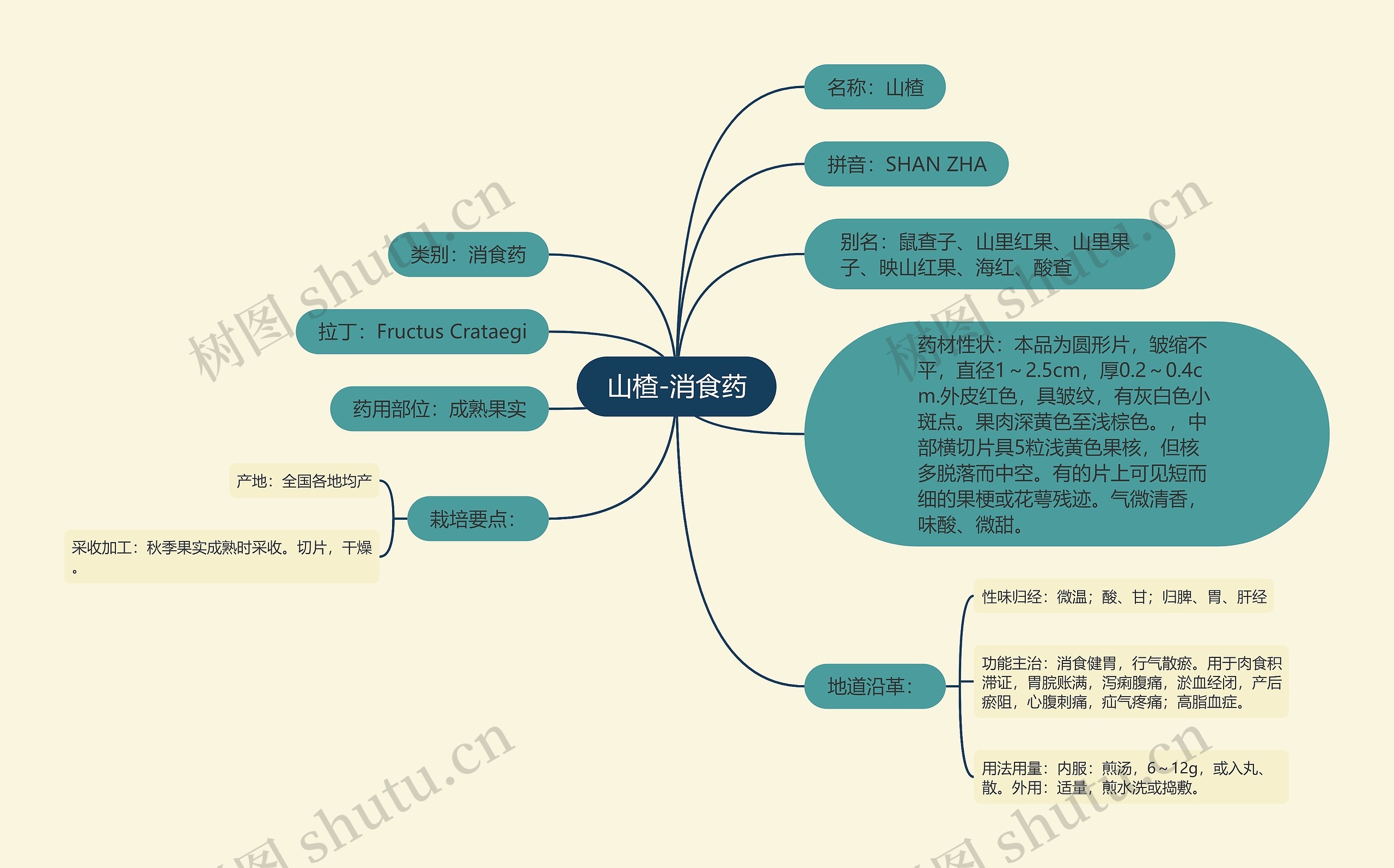 山楂-消食药 山楂-消食药