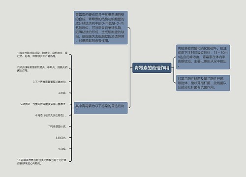 青霉素的药理作用