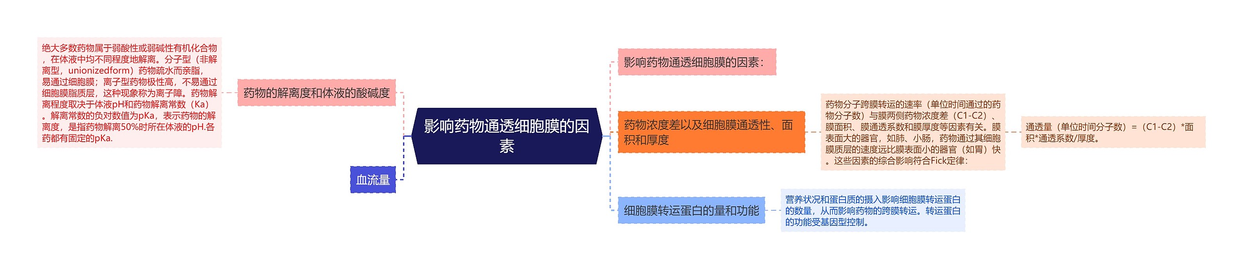 影响药物通透细胞膜的因素思维导图