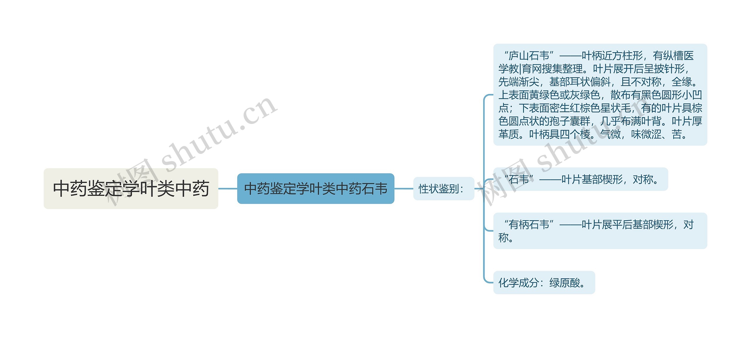 中药鉴定学叶类中药思维导图