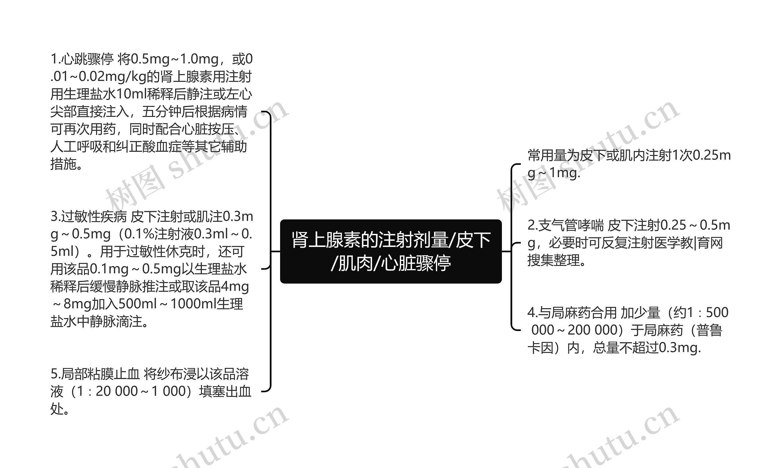 肾上腺素的注射剂量/皮下/肌肉/心脏骤停