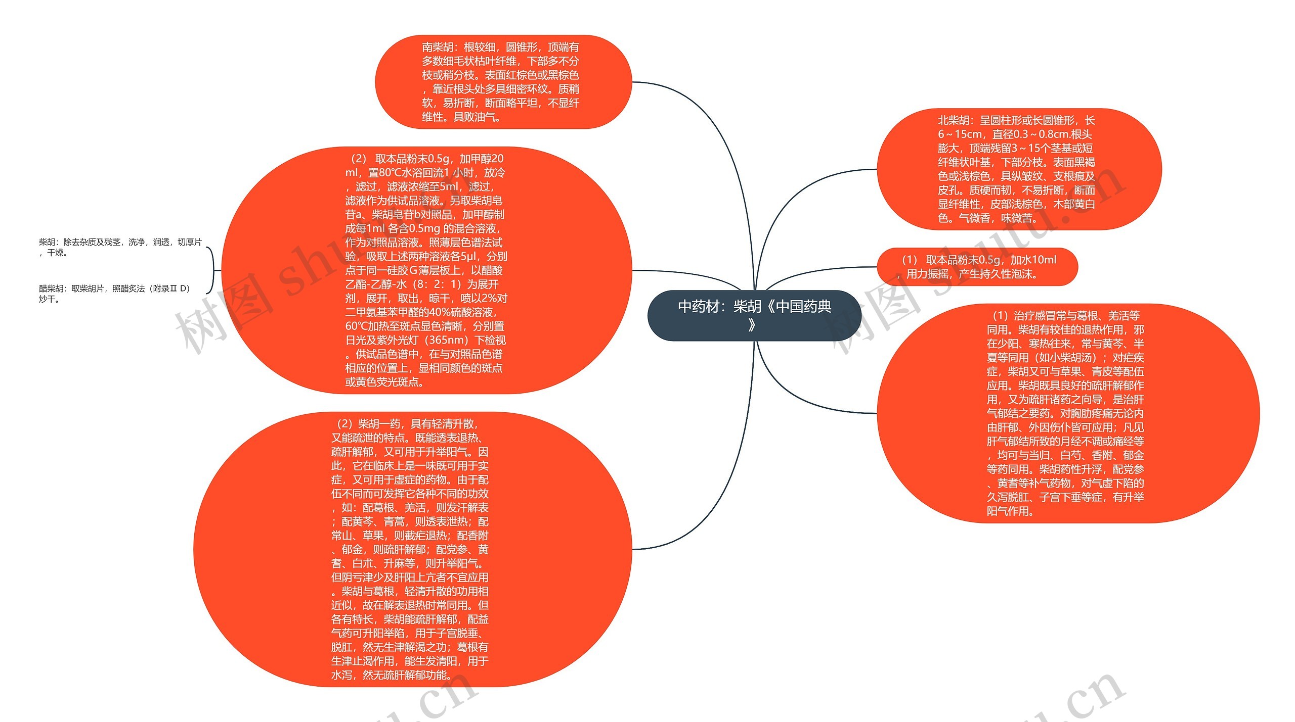 中药材：柴胡《中国药典》思维导图