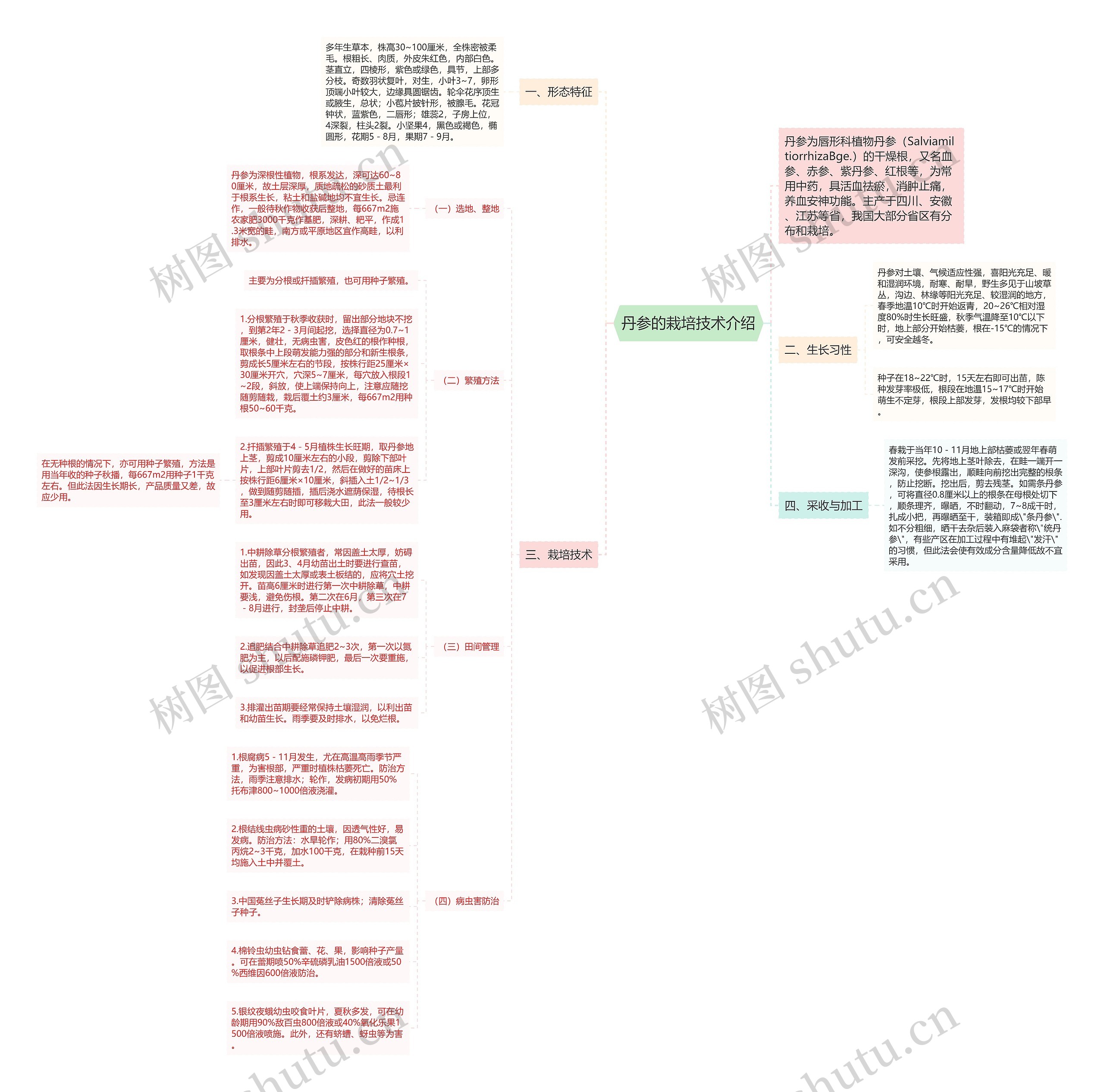 丹参的栽培技术介绍思维导图