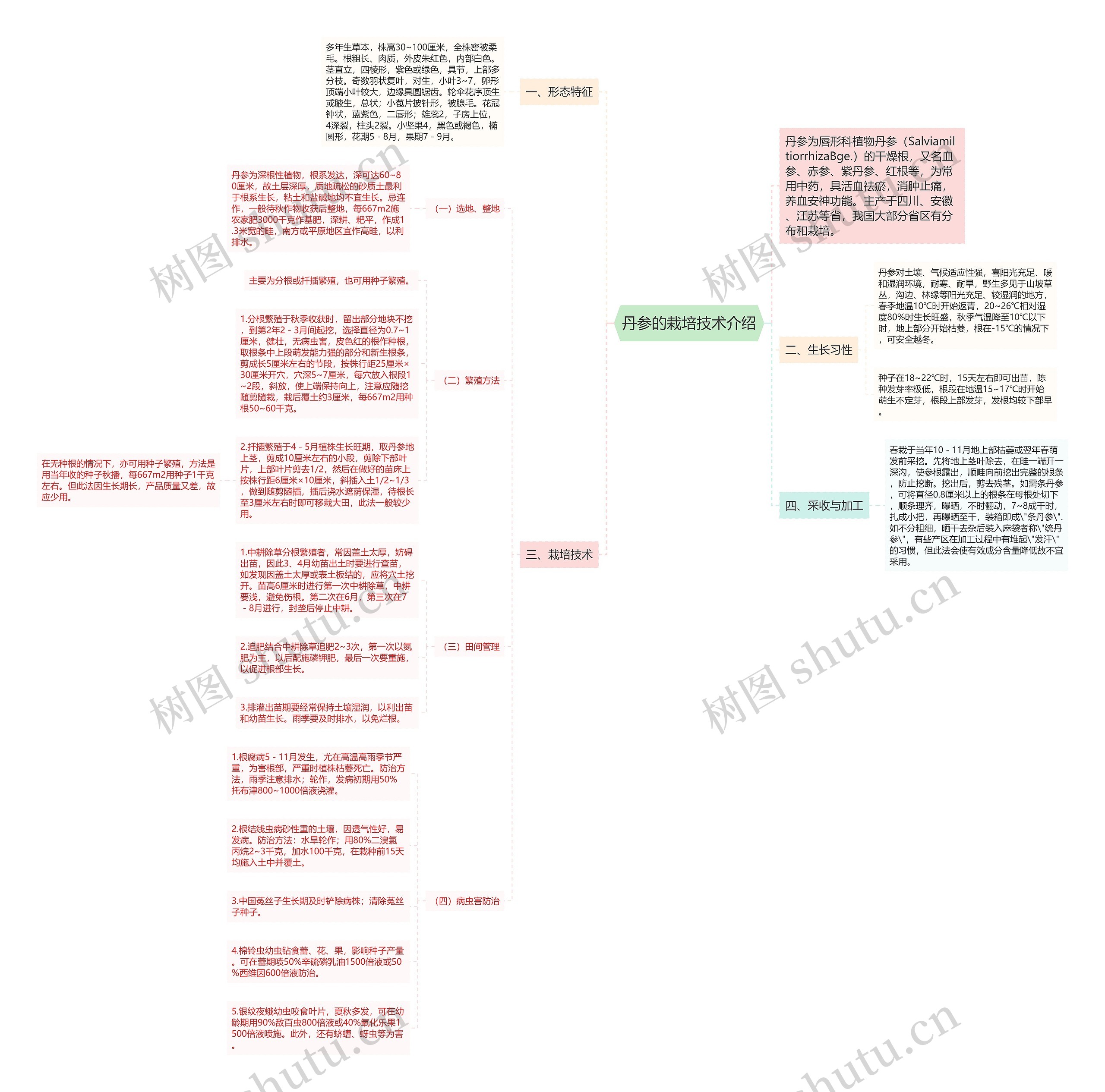 丹参的栽培技术介绍 丹参的栽培技术介绍