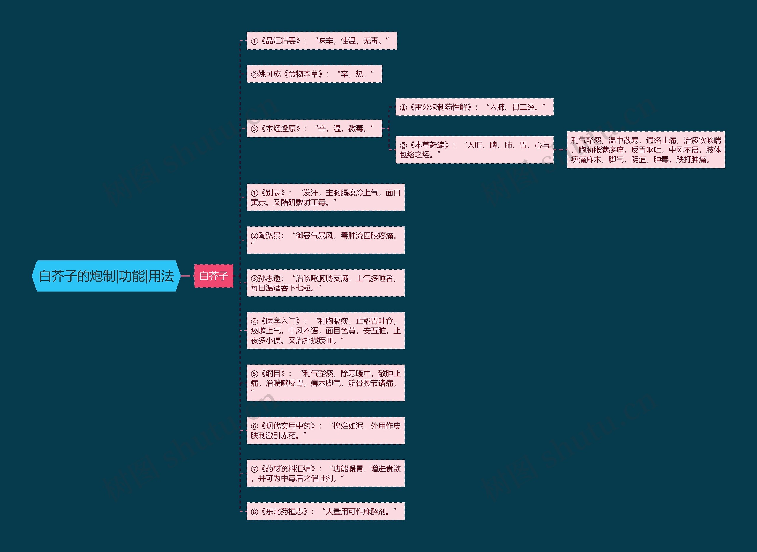 白芥子的炮制|功能|用法思维导图