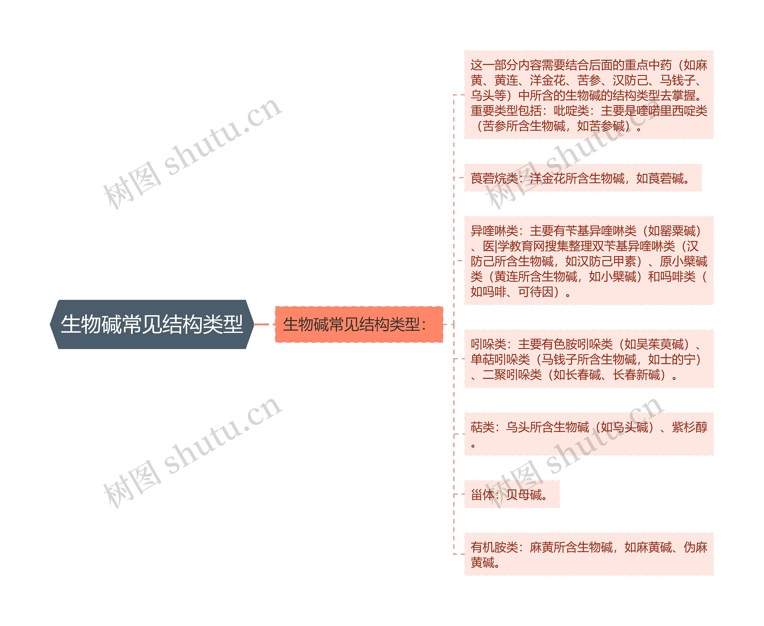 生物碱常见结构类型