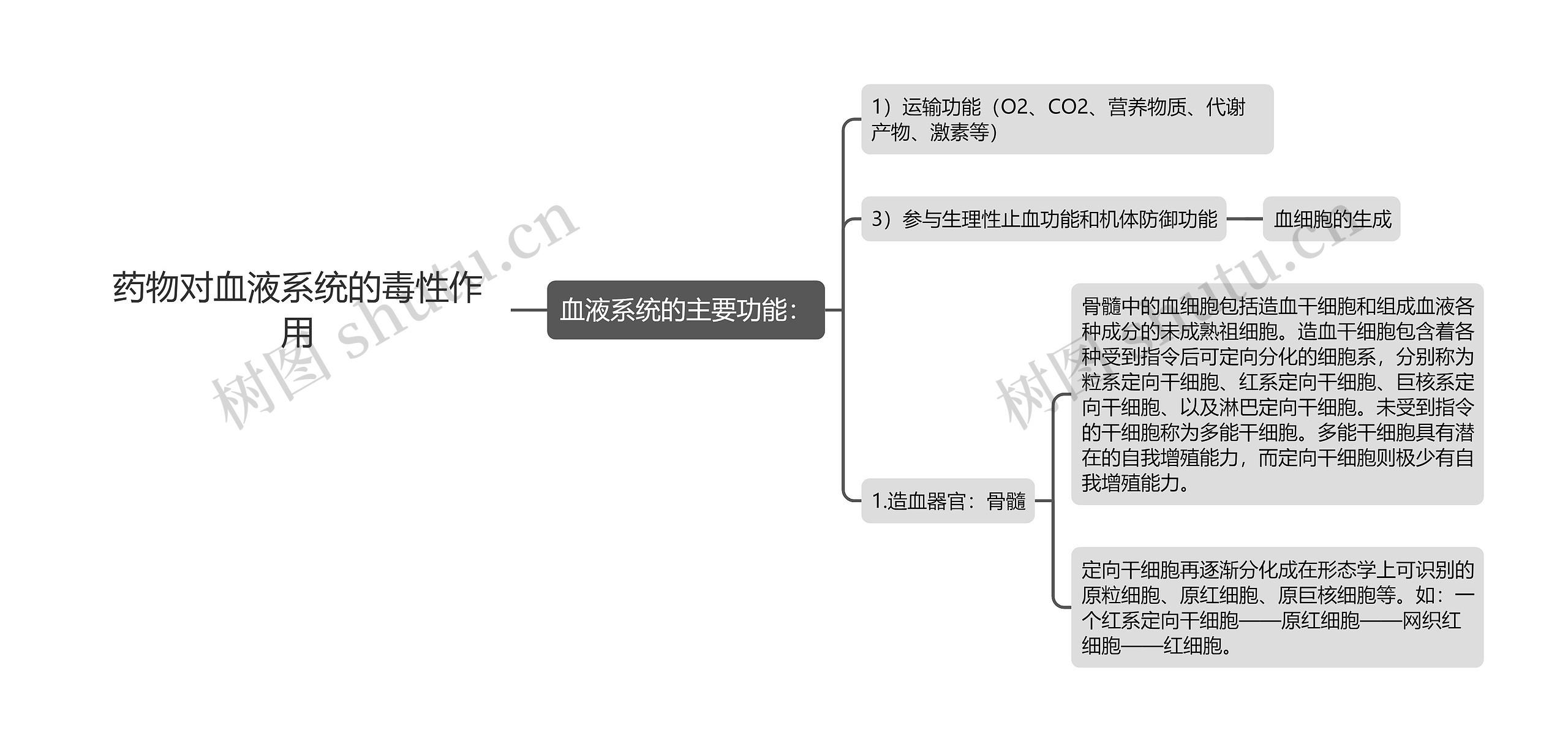 药物对血液系统的毒性作用