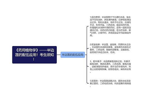 《药用植物学》——半边莲的配伍应用！考生须知！思维导图