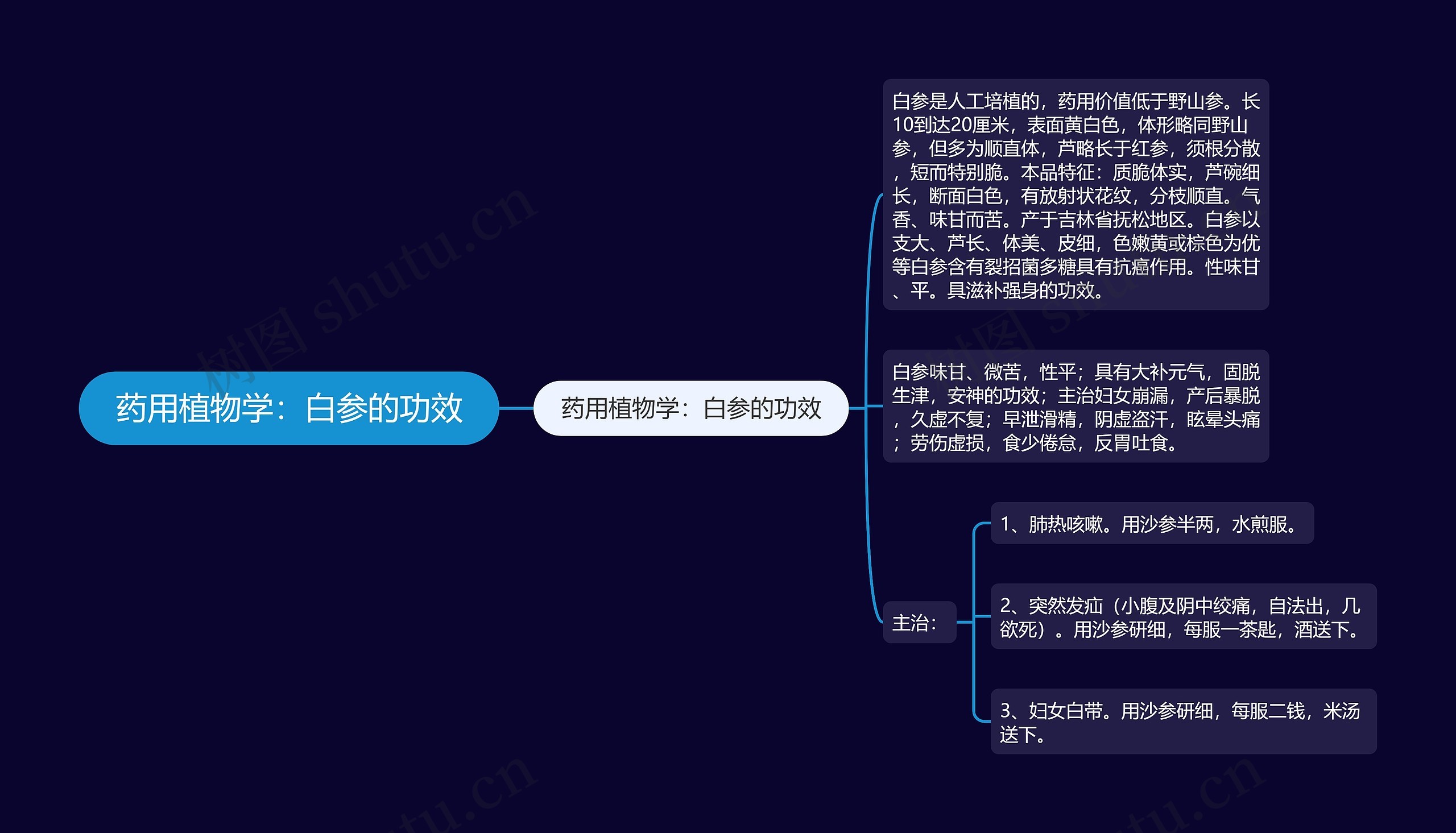 药用植物学：白参的功效