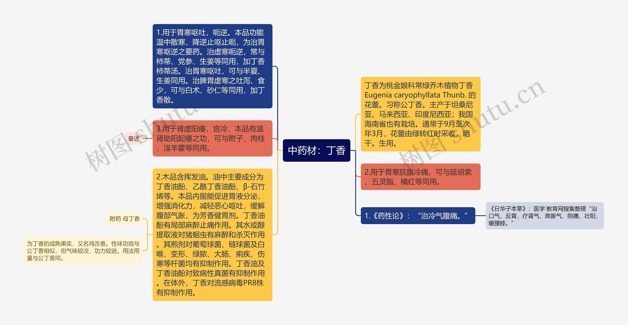 中药材:丁香思维导图高清图 中药材:丁香思维导图