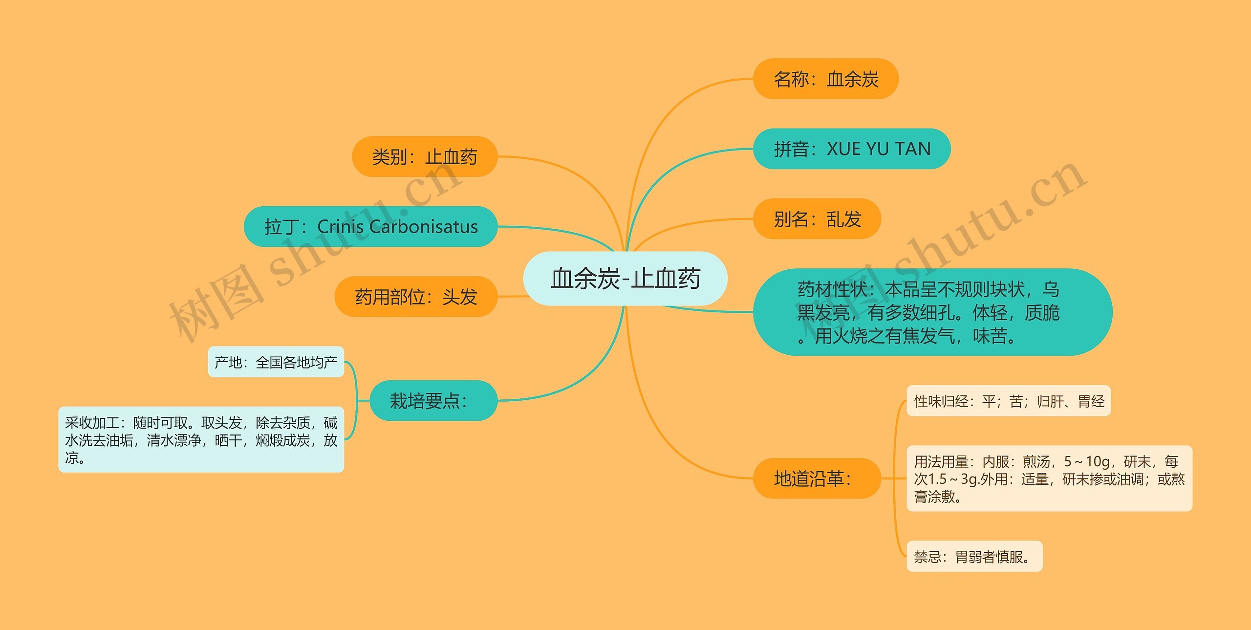 血余炭-止血药思维导图