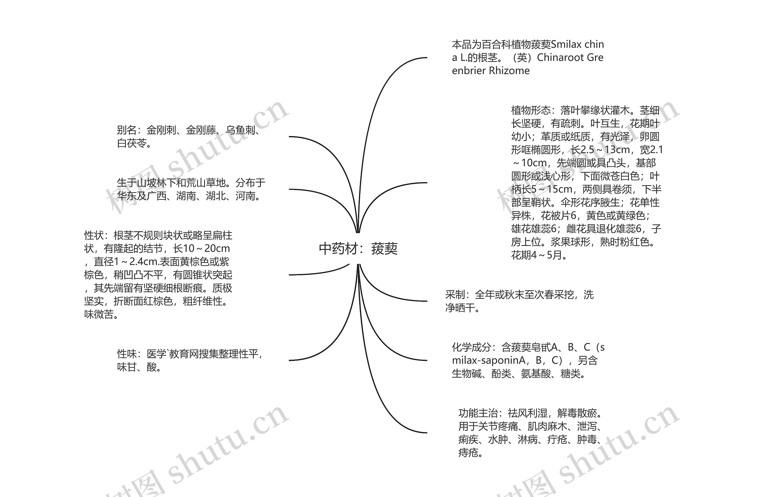 中药材：菝葜思维导图