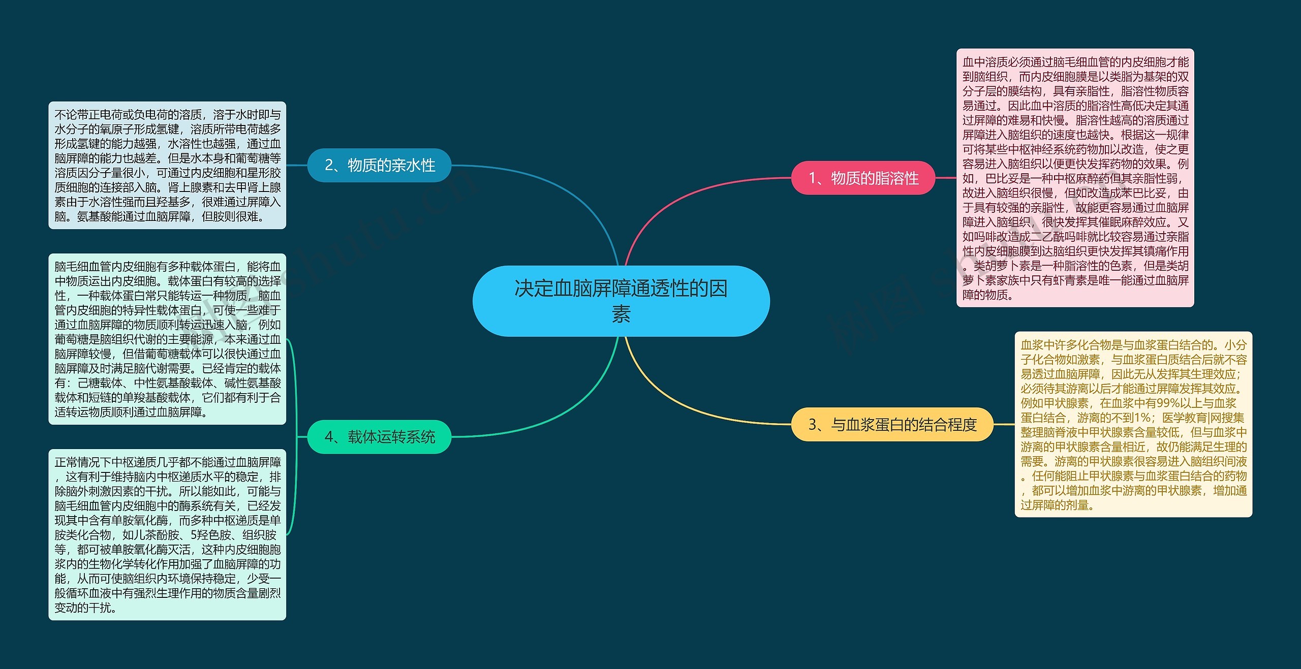决定血脑屏障通透性的因素 决定血脑屏障通透性的因素