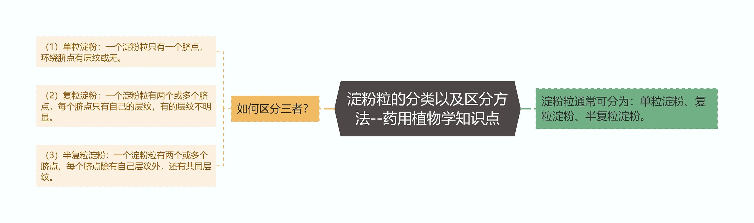 淀粉粒的分类以及区分方法--药用植物学知识点思维导图