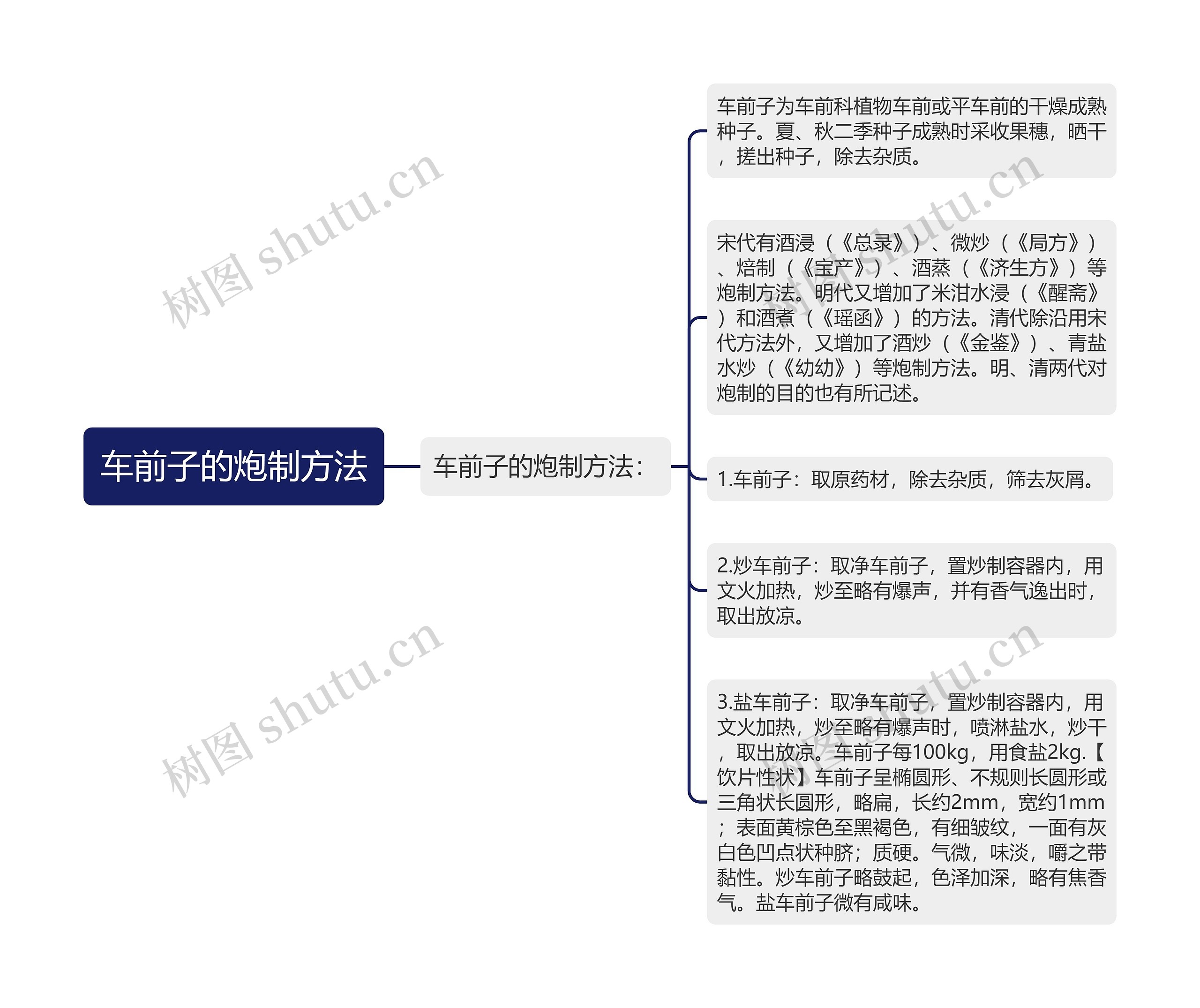 车前子的炮制方法思维导图