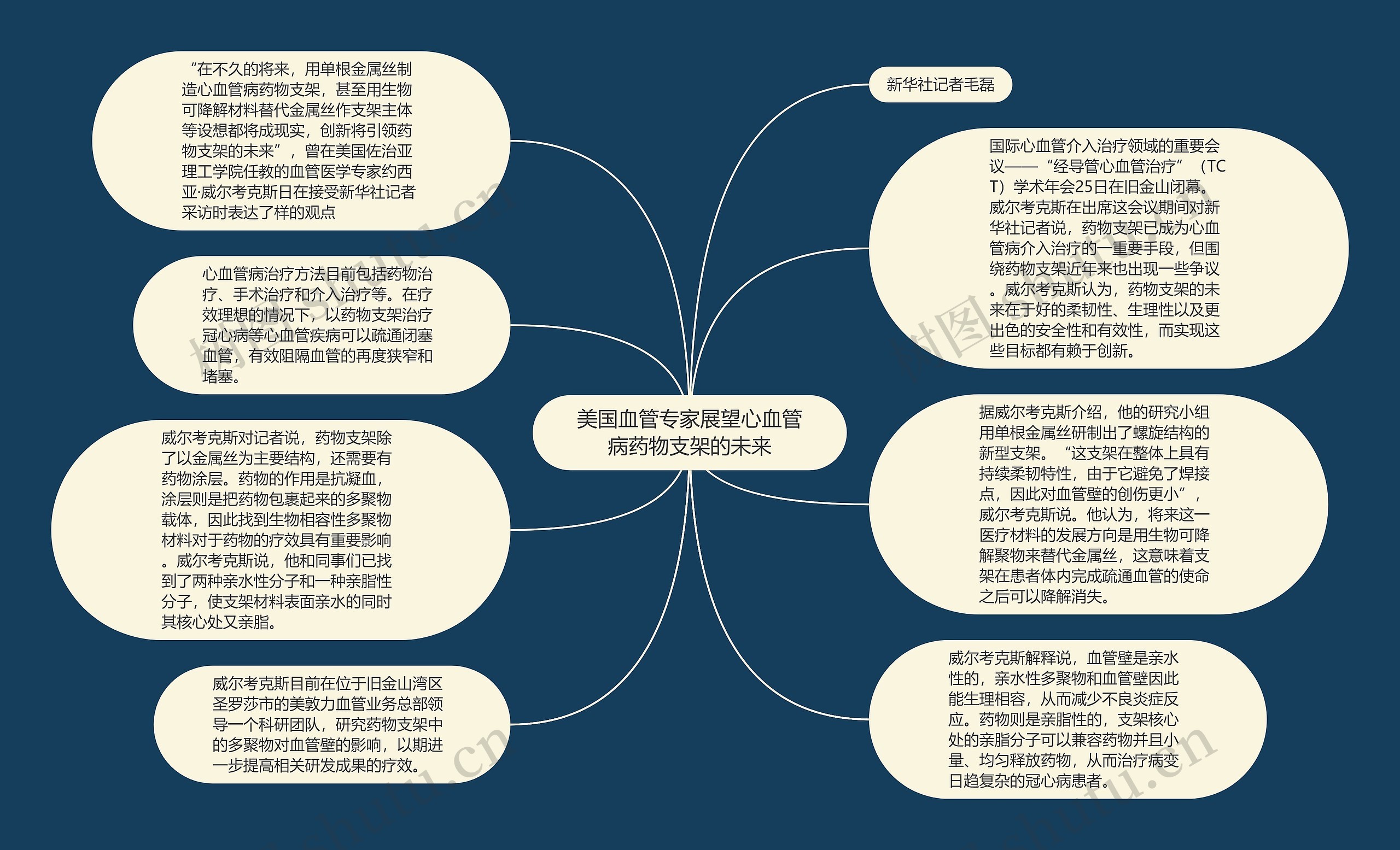 美国血管专家展望心血管病药物支架的未来思维导图