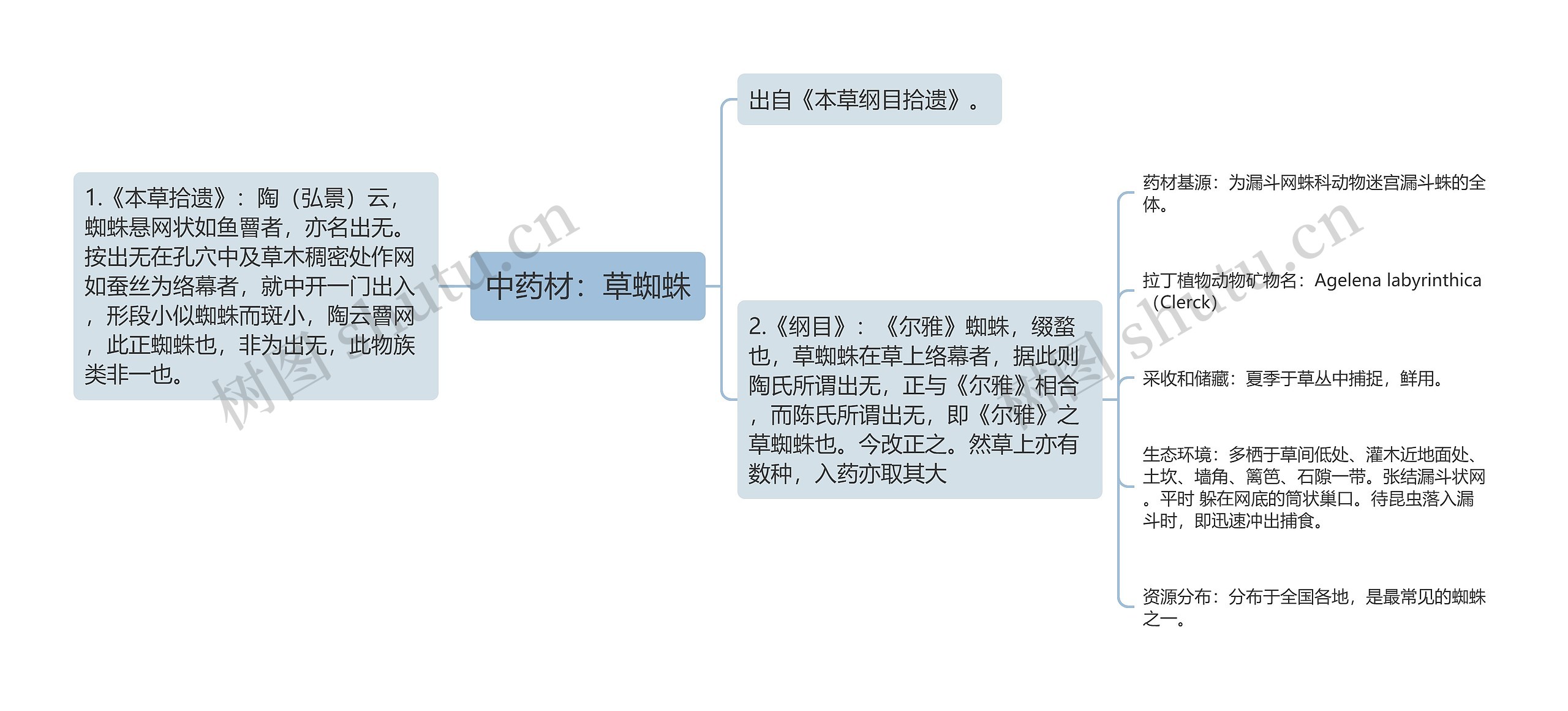 中药材：草蜘蛛思维导图