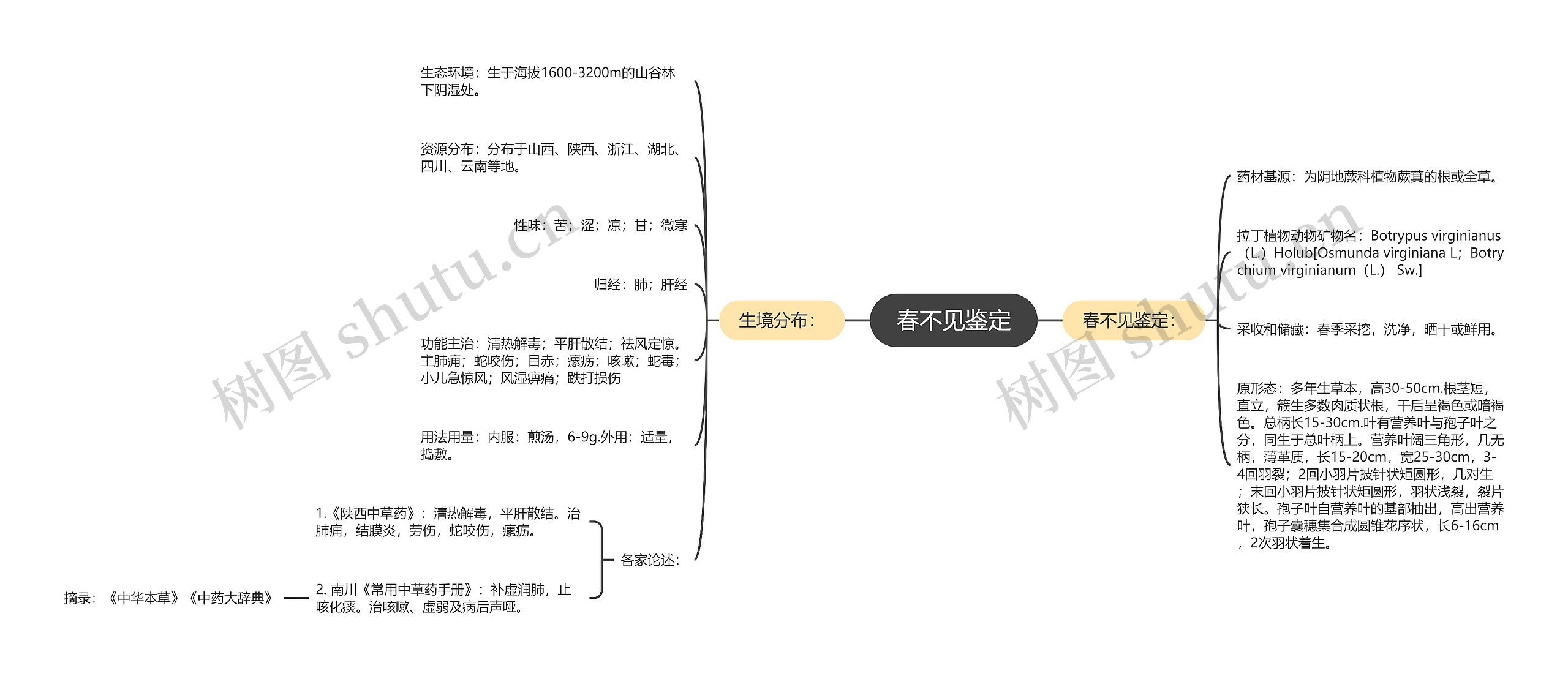 春不见鉴定思维导图