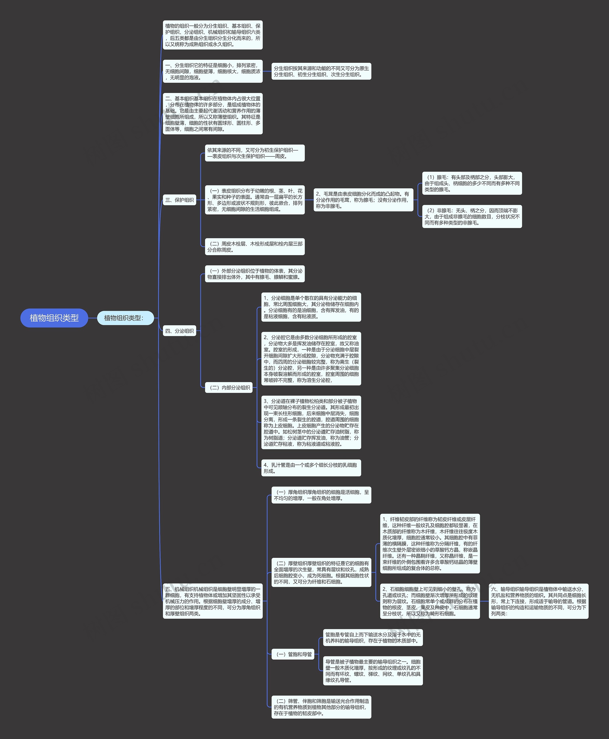 植物组织类型 植物组织类型