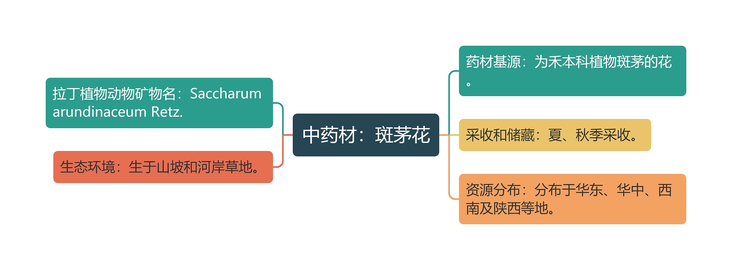 中药材：斑茅花思维导图