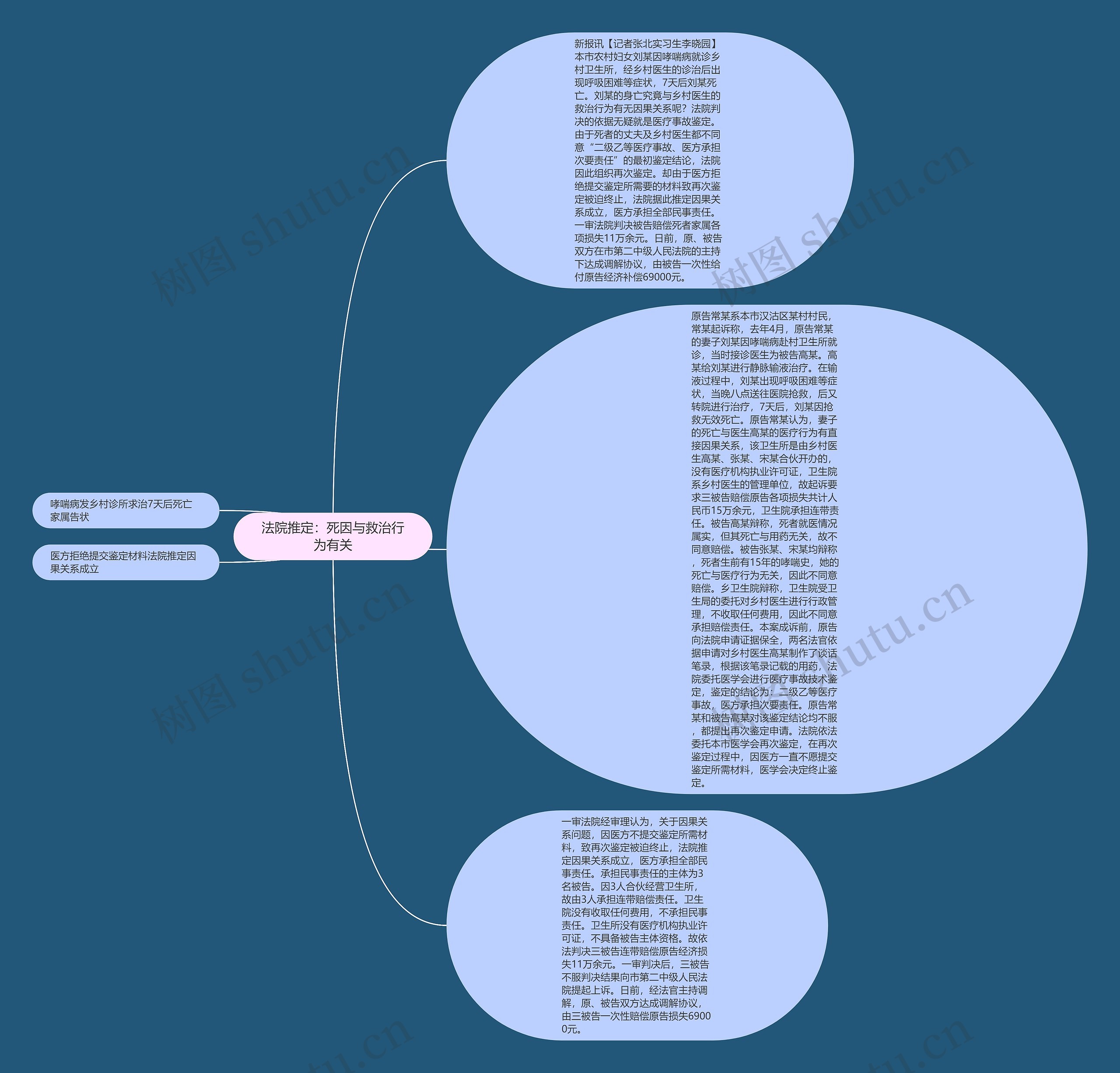 法院推定：死因与救治行为有关思维导图