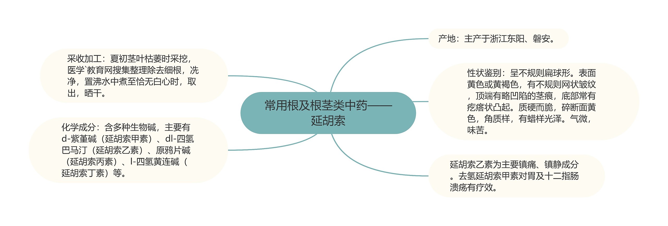 常用根及根茎类中药——延胡索 常用根及根茎类中药——延胡索