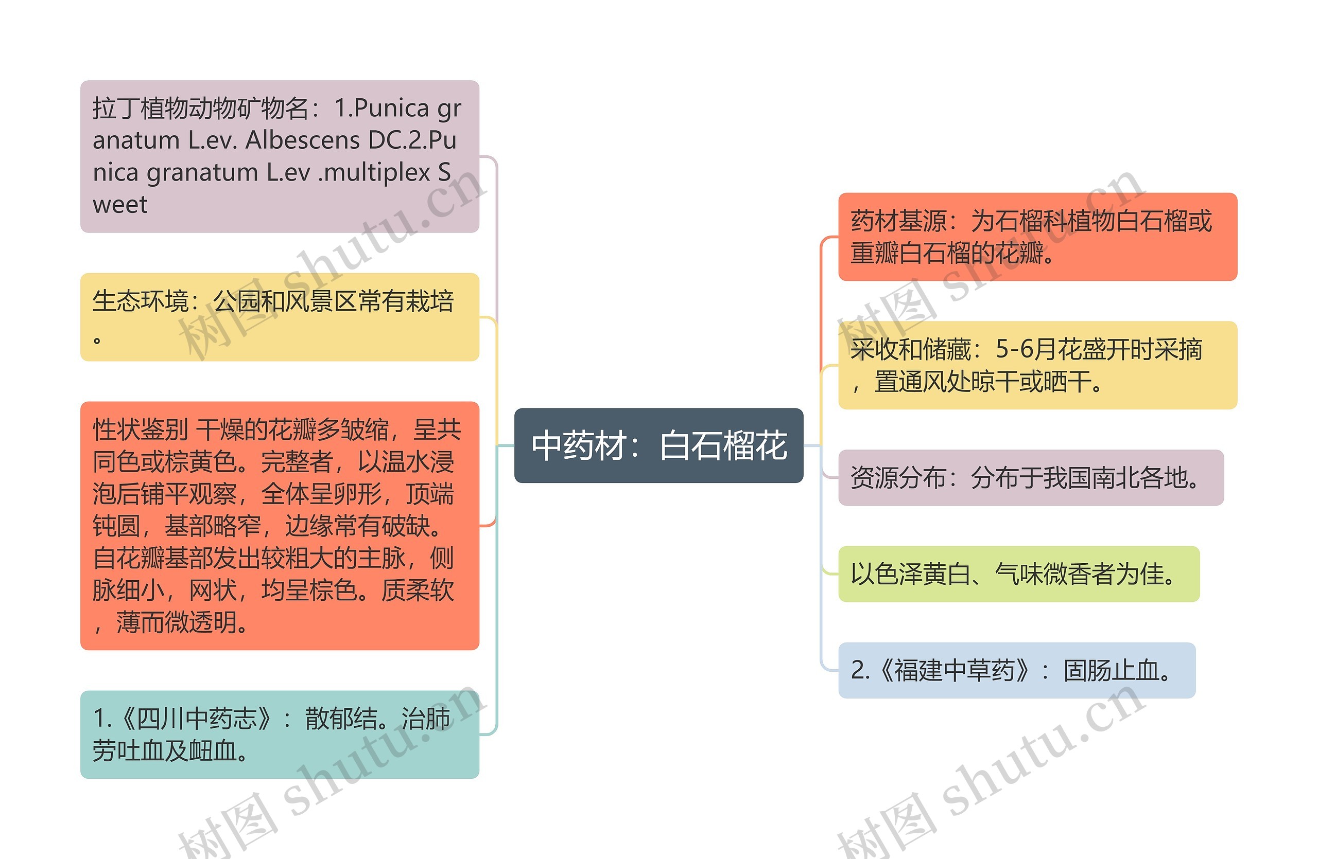 中药材：白石榴花