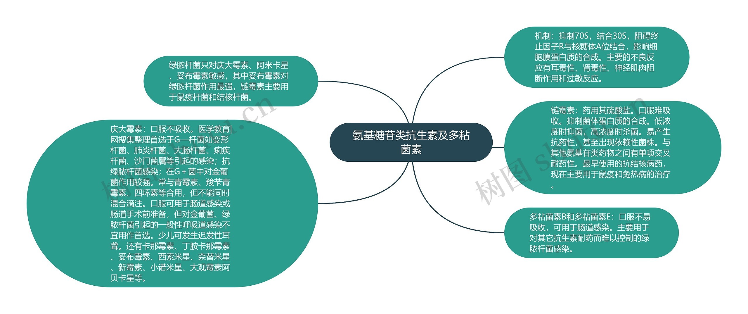 氨基糖苷类抗生素及多粘菌素