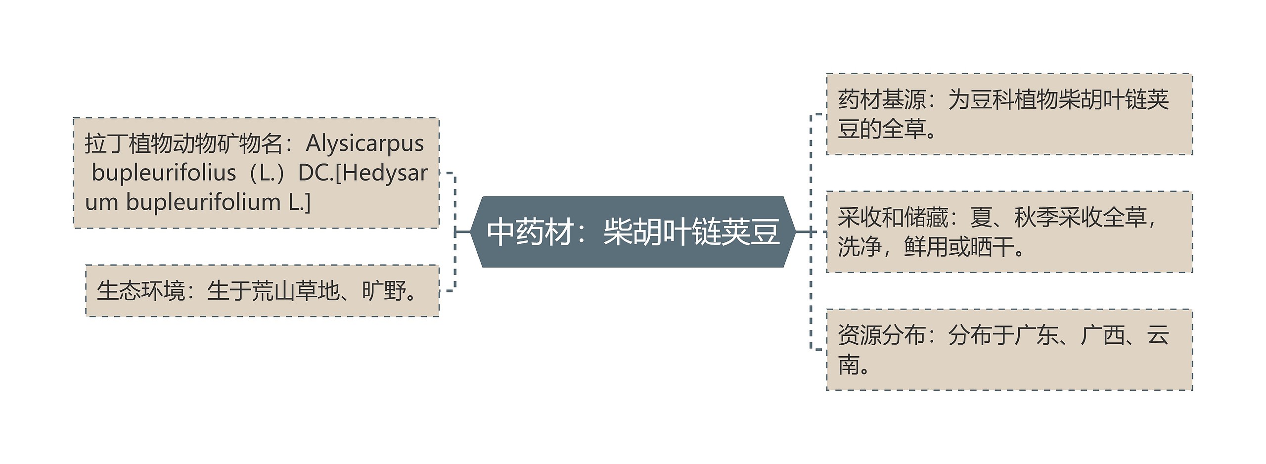 中药材：柴胡叶链荚豆思维导图