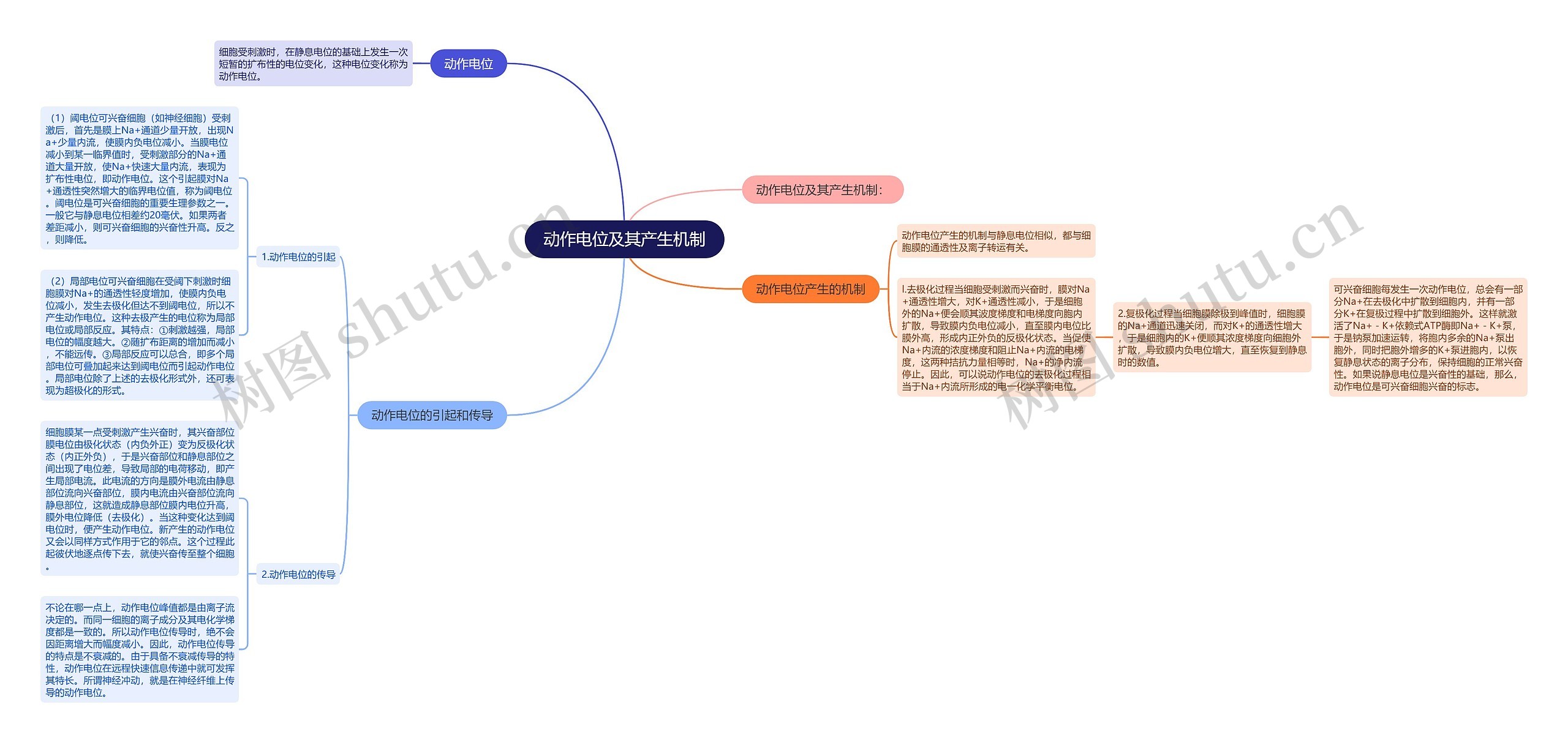 动作电位及其产生机制思维导图