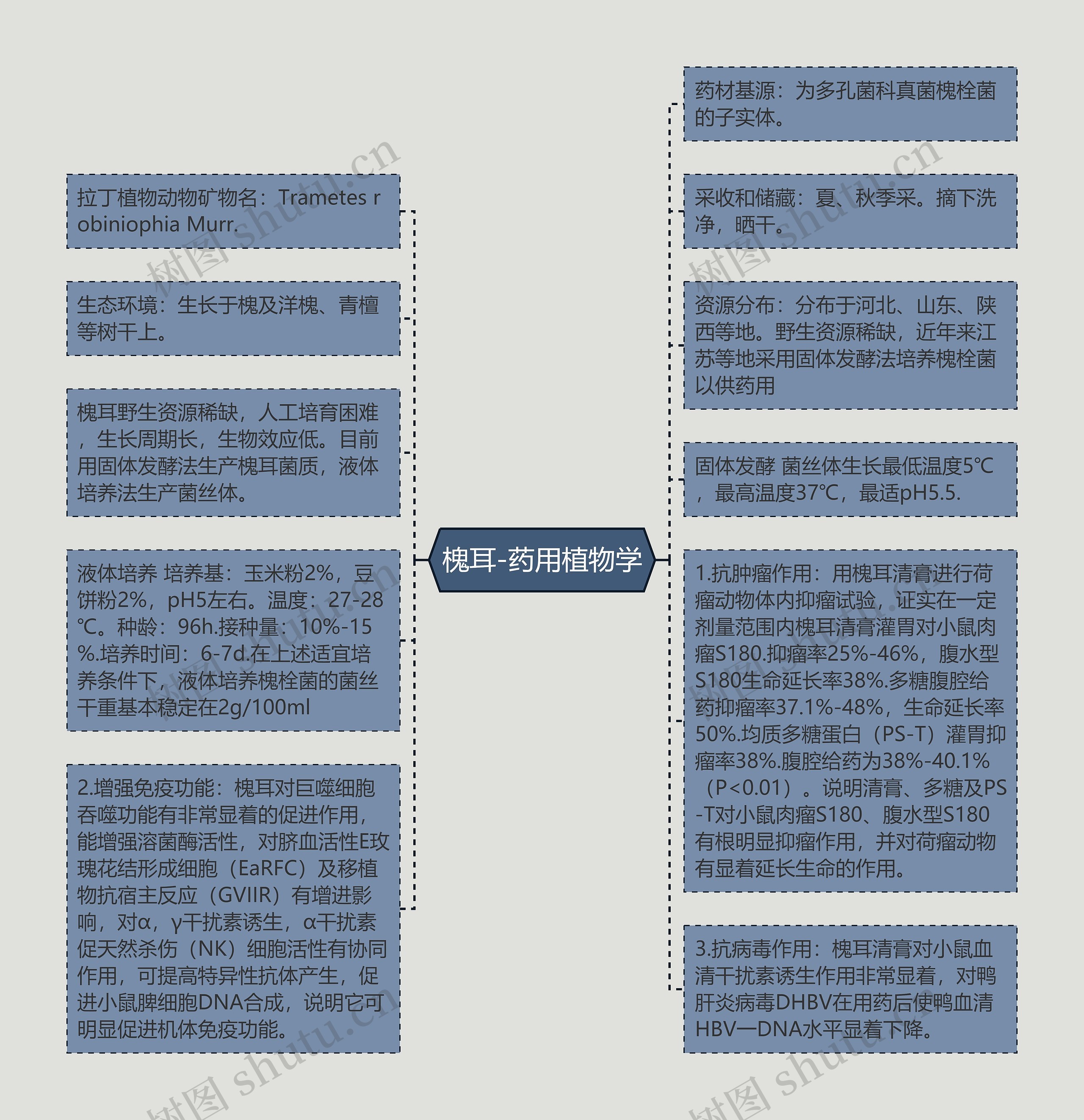 槐耳-药用植物学思维导图