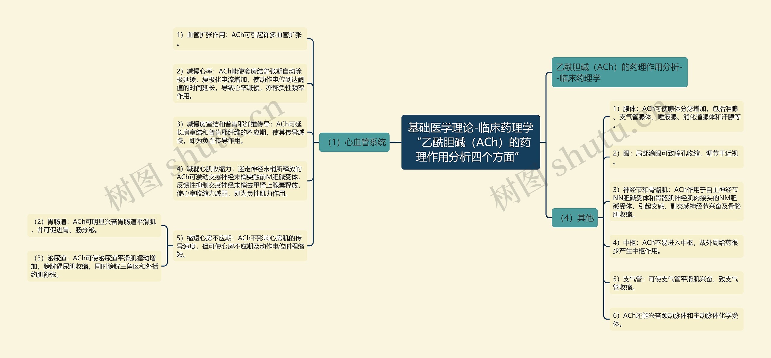 基础医学理论-临床药理学“乙酰胆碱（ACh）的药理作用分析四个方面”