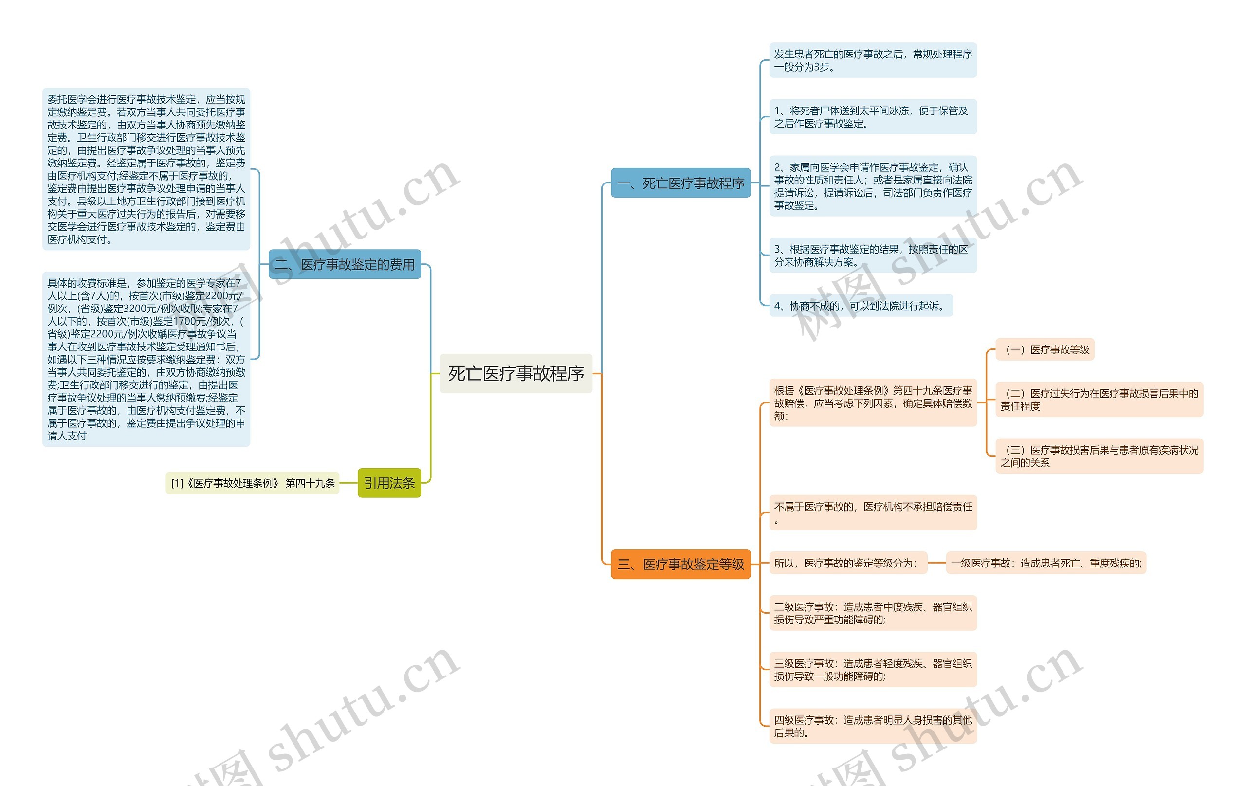 死亡医疗事故程序思维导图