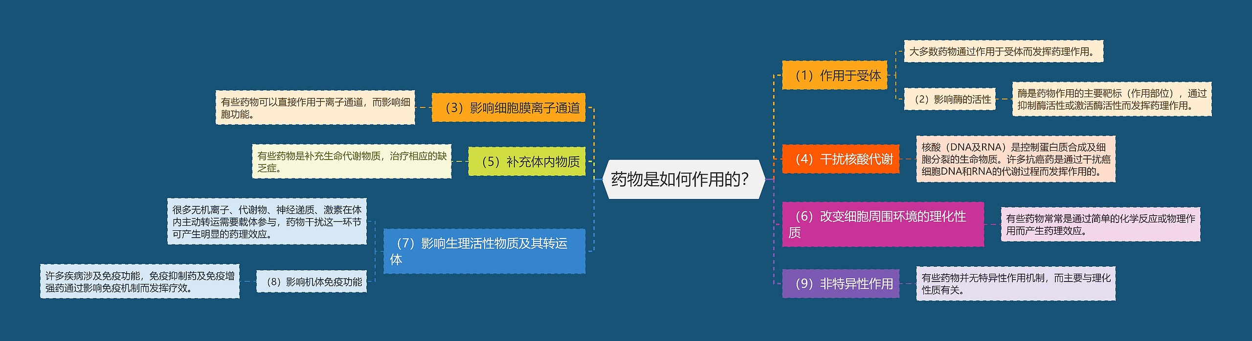 药物是如何作用的？思维导图