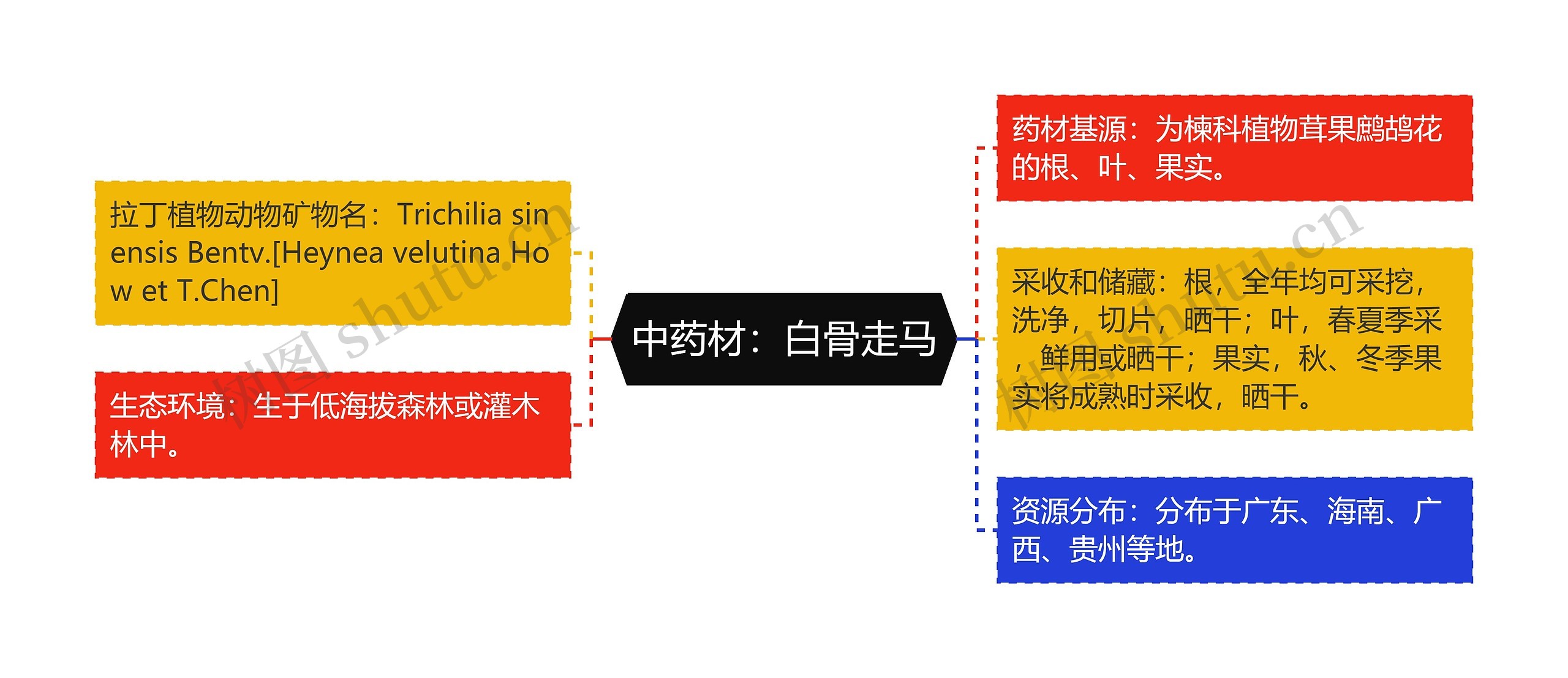 中药材：白骨走马思维导图