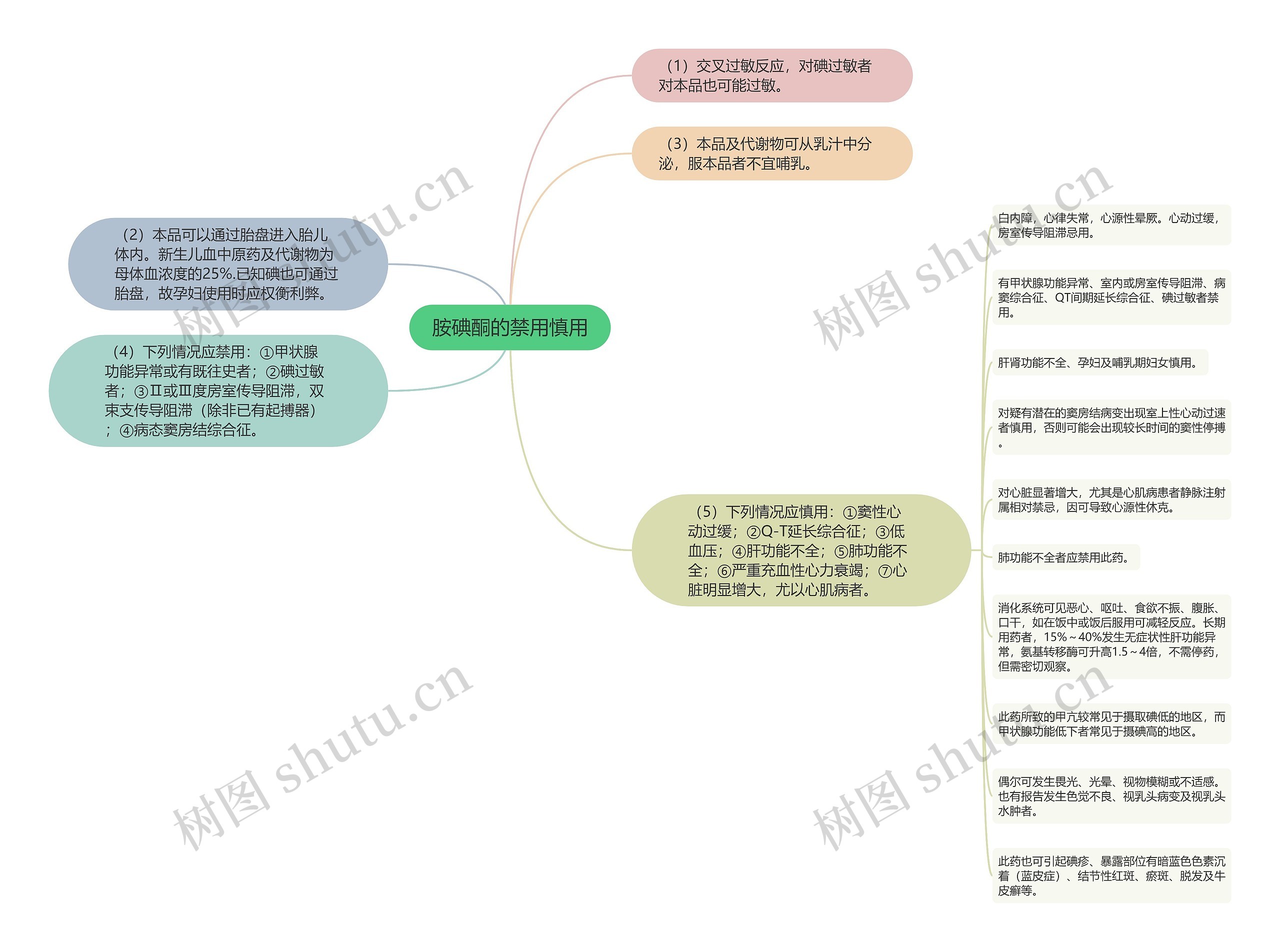 胺碘酮的禁用慎用思维导图