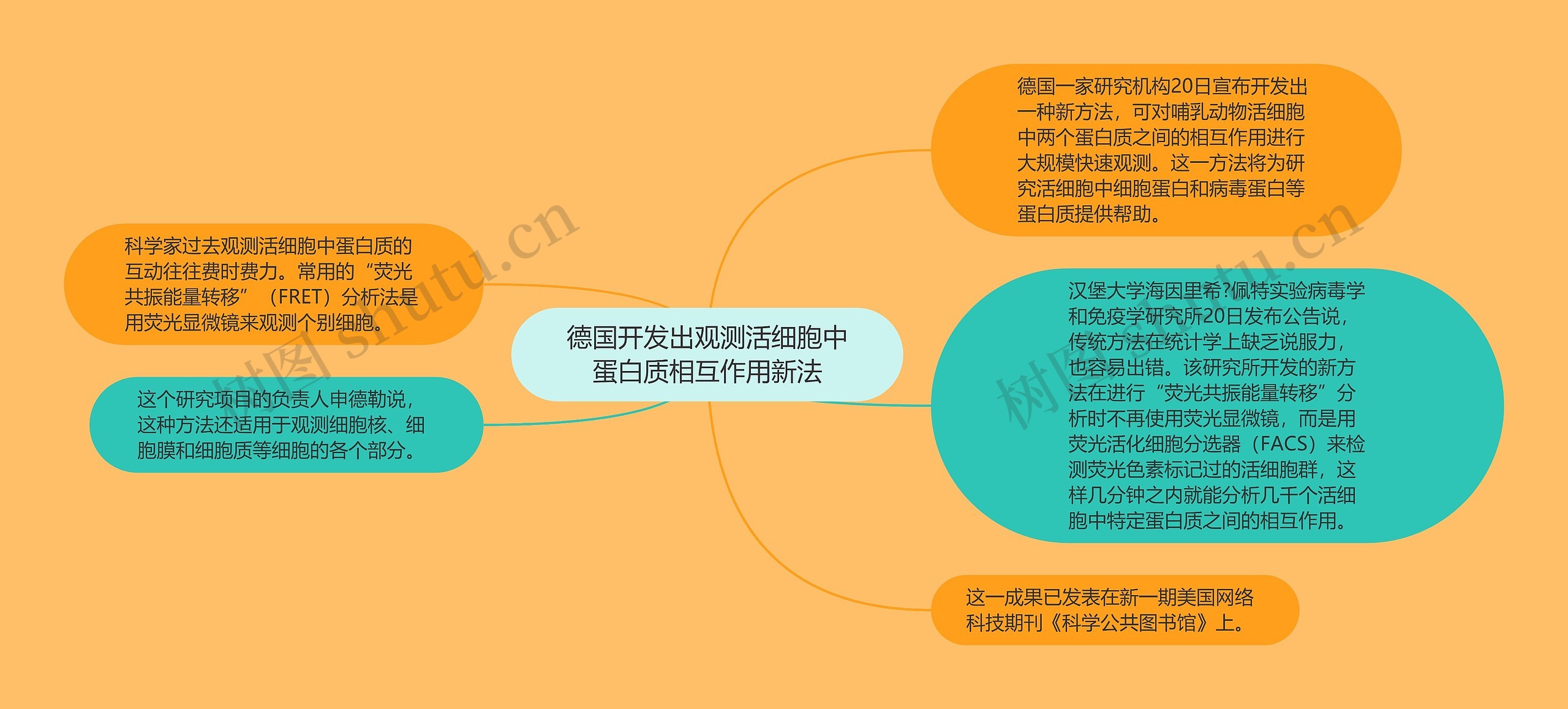 德国开发出观测活细胞中蛋白质相互作用新法