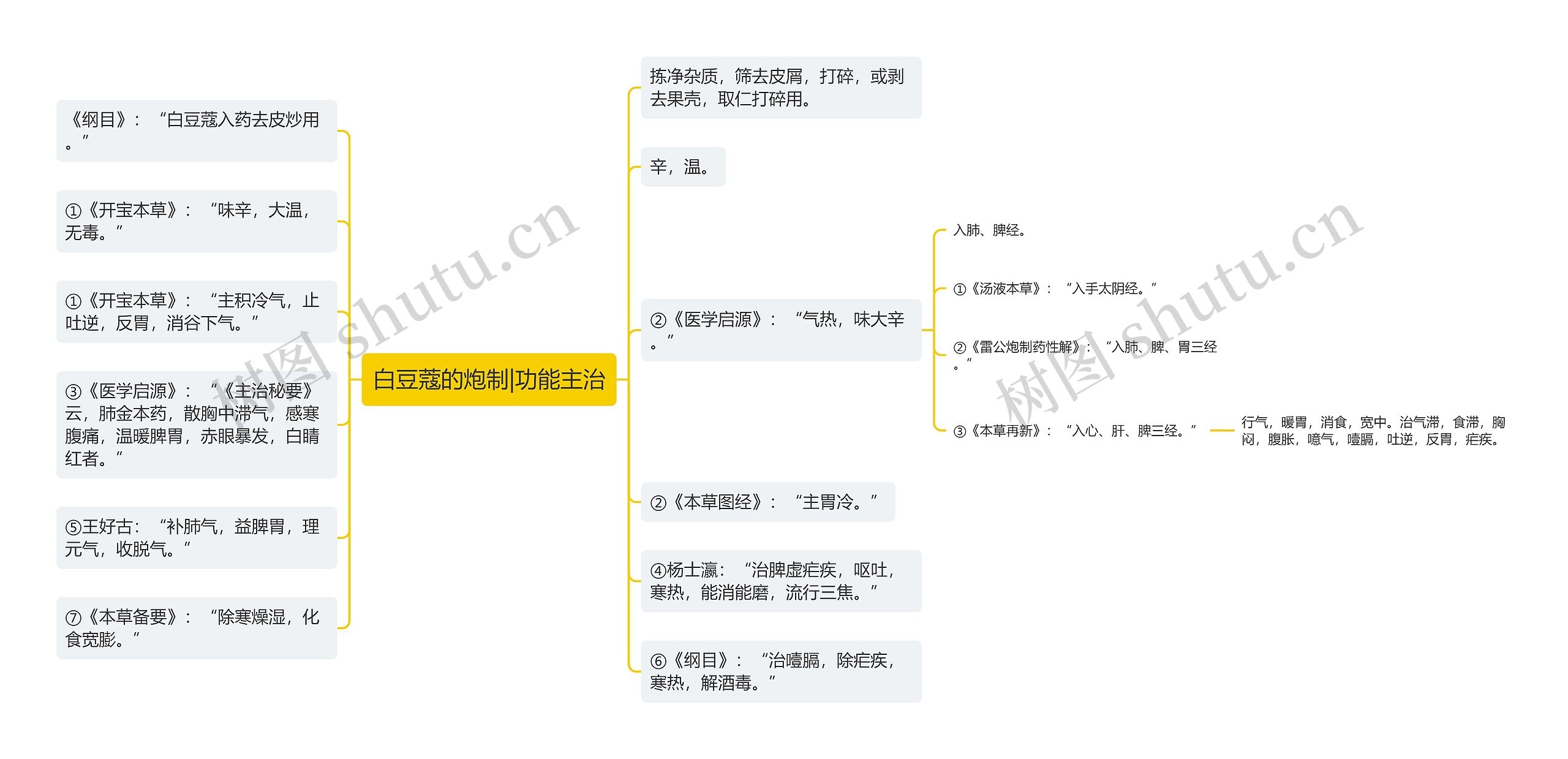 白豆蔻的炮制|功能主治思维导图